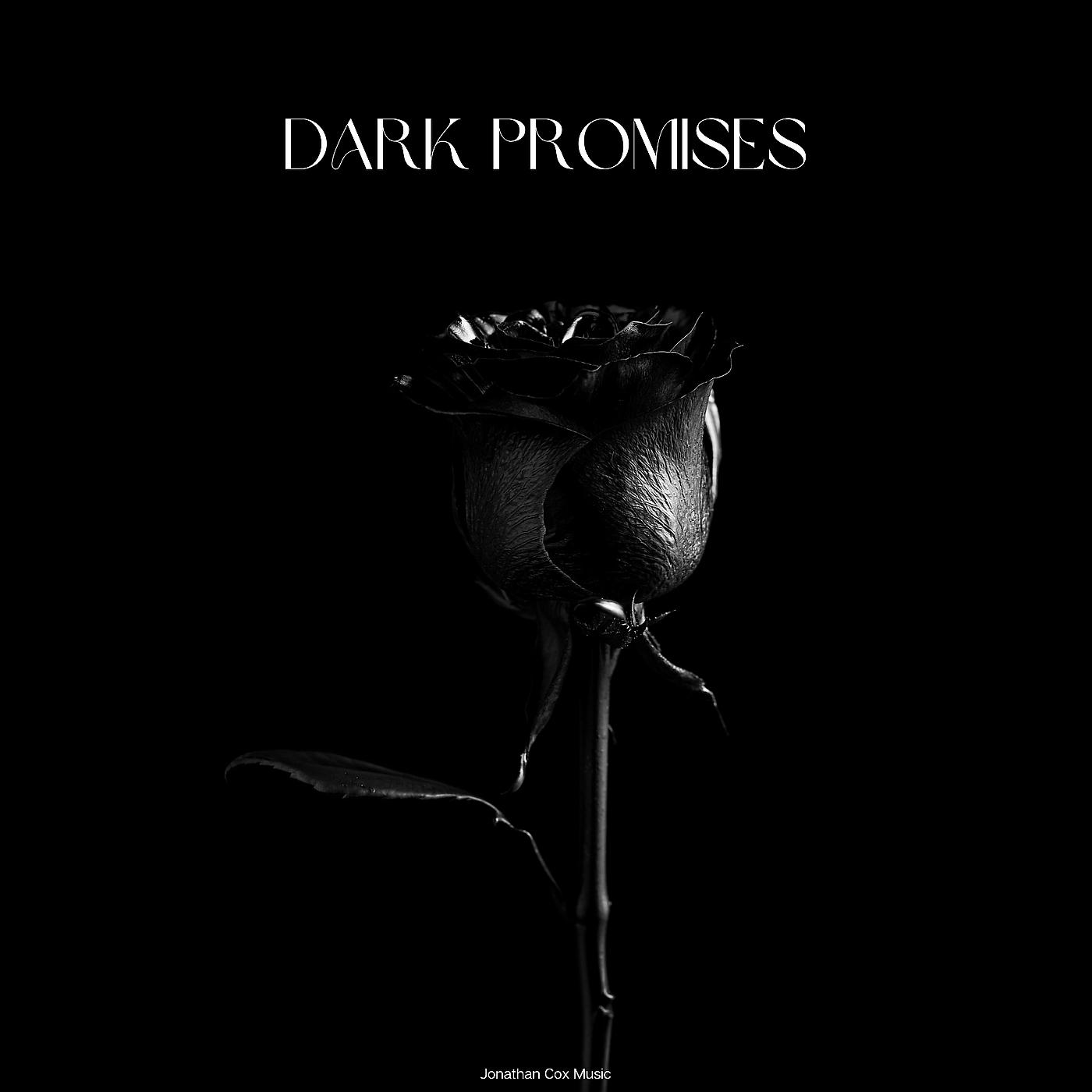 Постер альбома Dark Promises