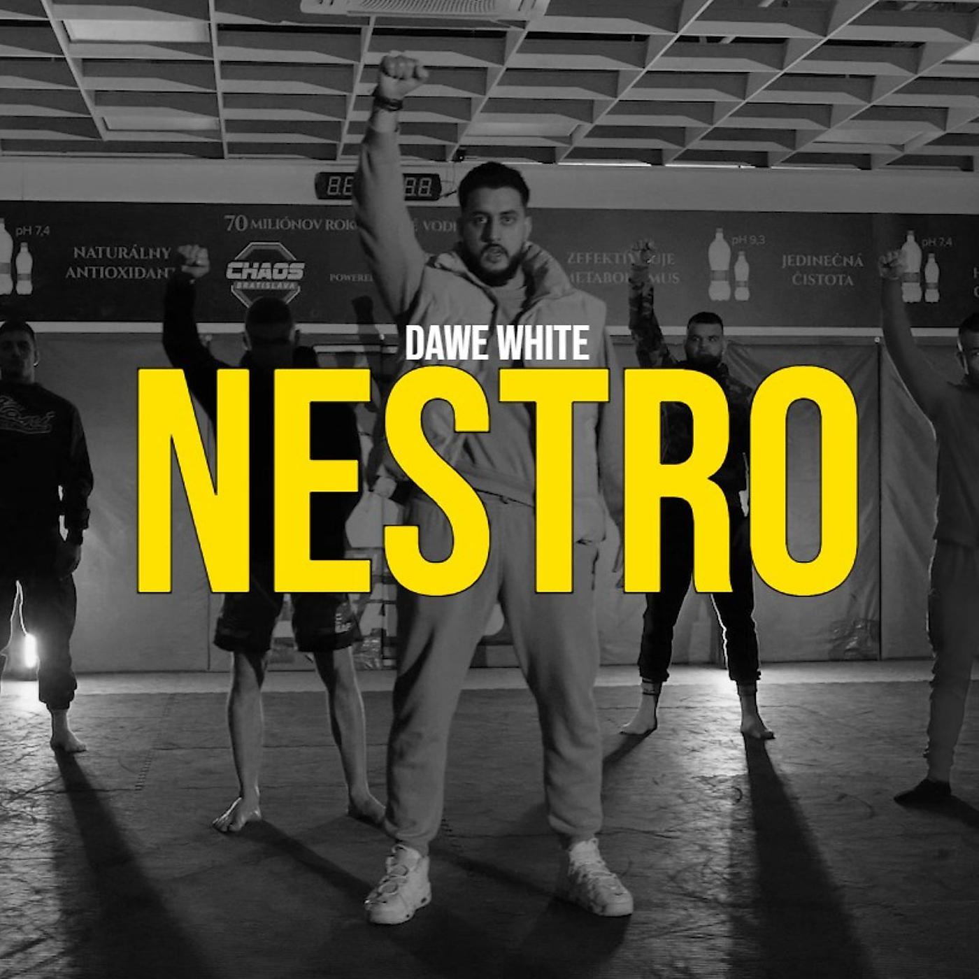 Постер альбома Nestro