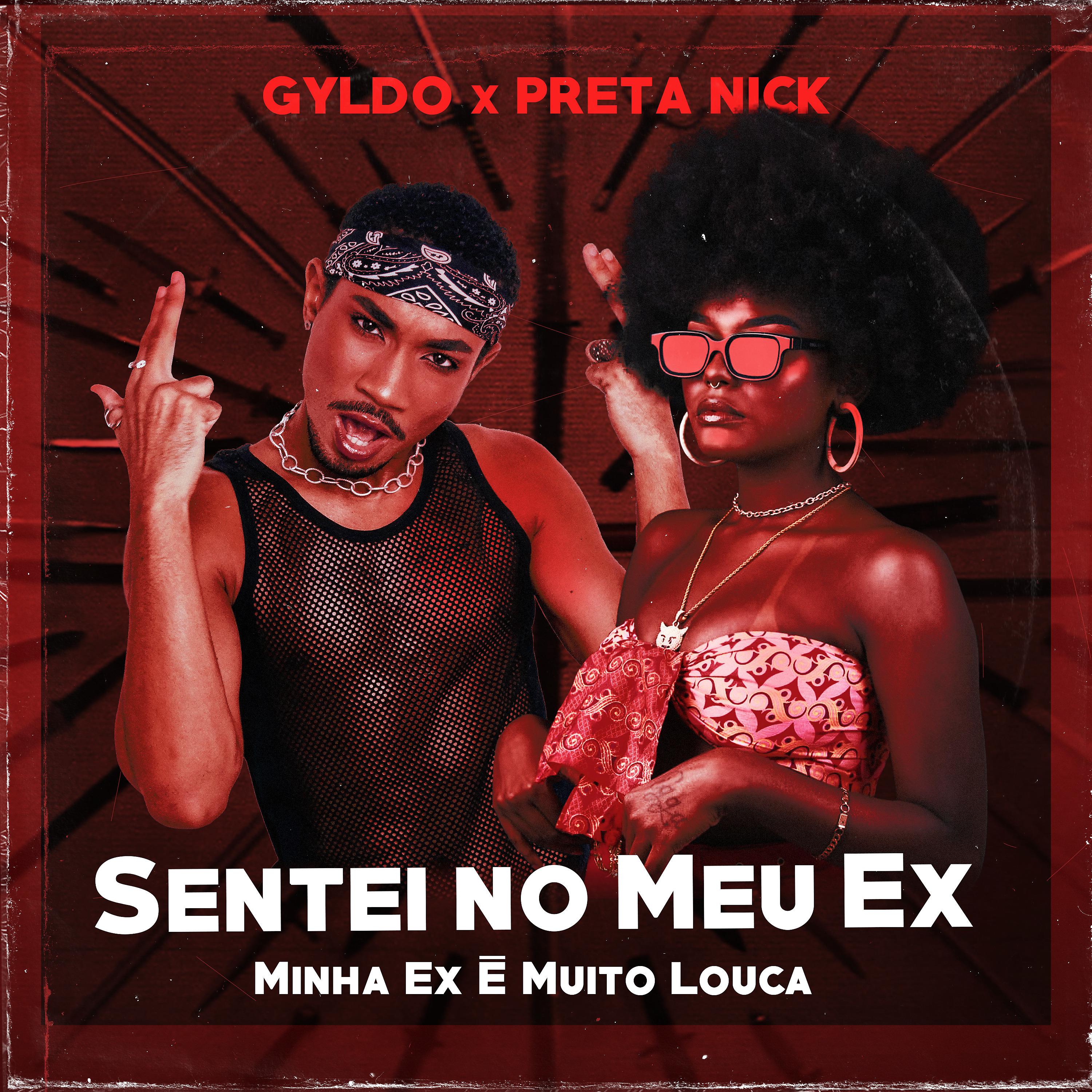 Постер альбома Sentei no Meu Ex (Minha Ex É Muito Louca)