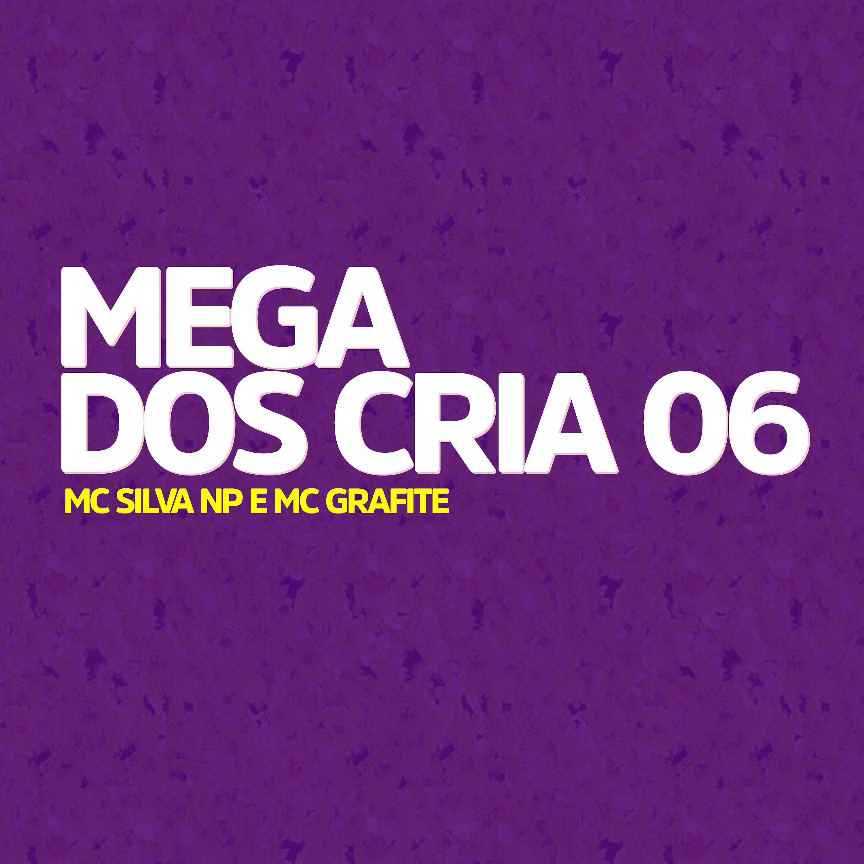 Постер альбома Mega dos Crias 06