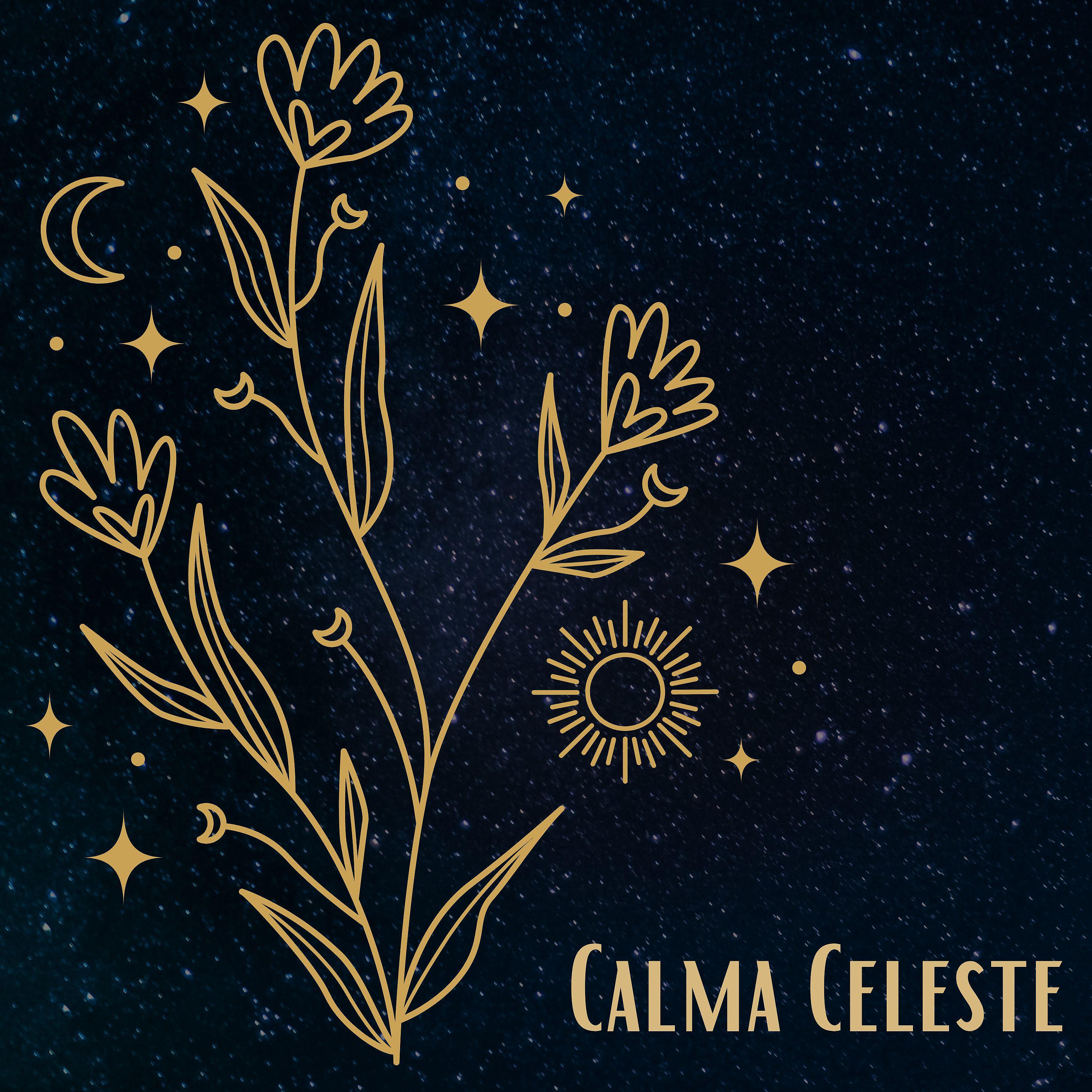 Постер альбома Calma Celeste