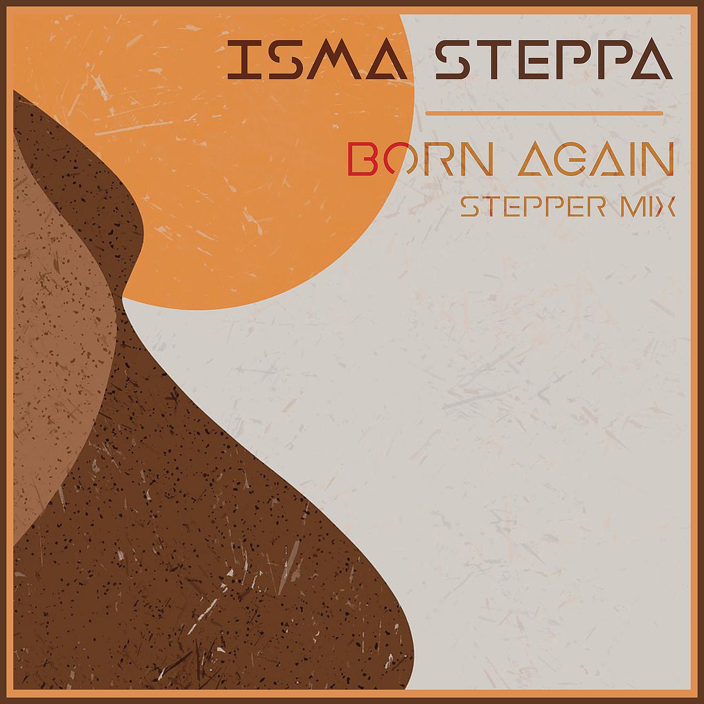 Постер альбома Born Again - Stepper Mix