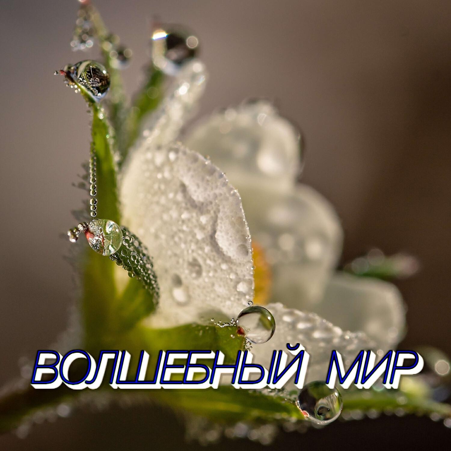 Сергей Грищук - ВОЛШЕБНЫЙ МИР