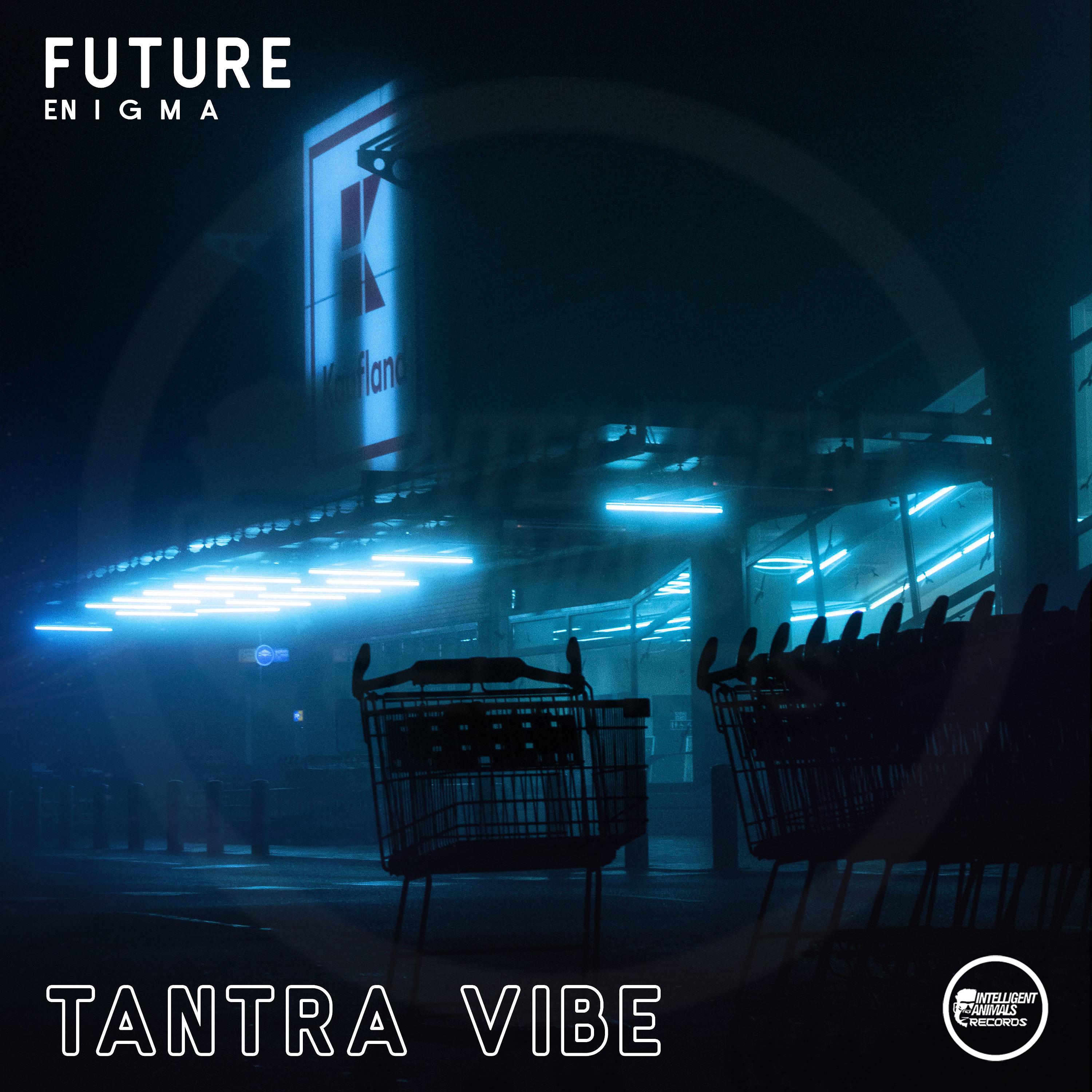 Постер альбома Tantra Vibe