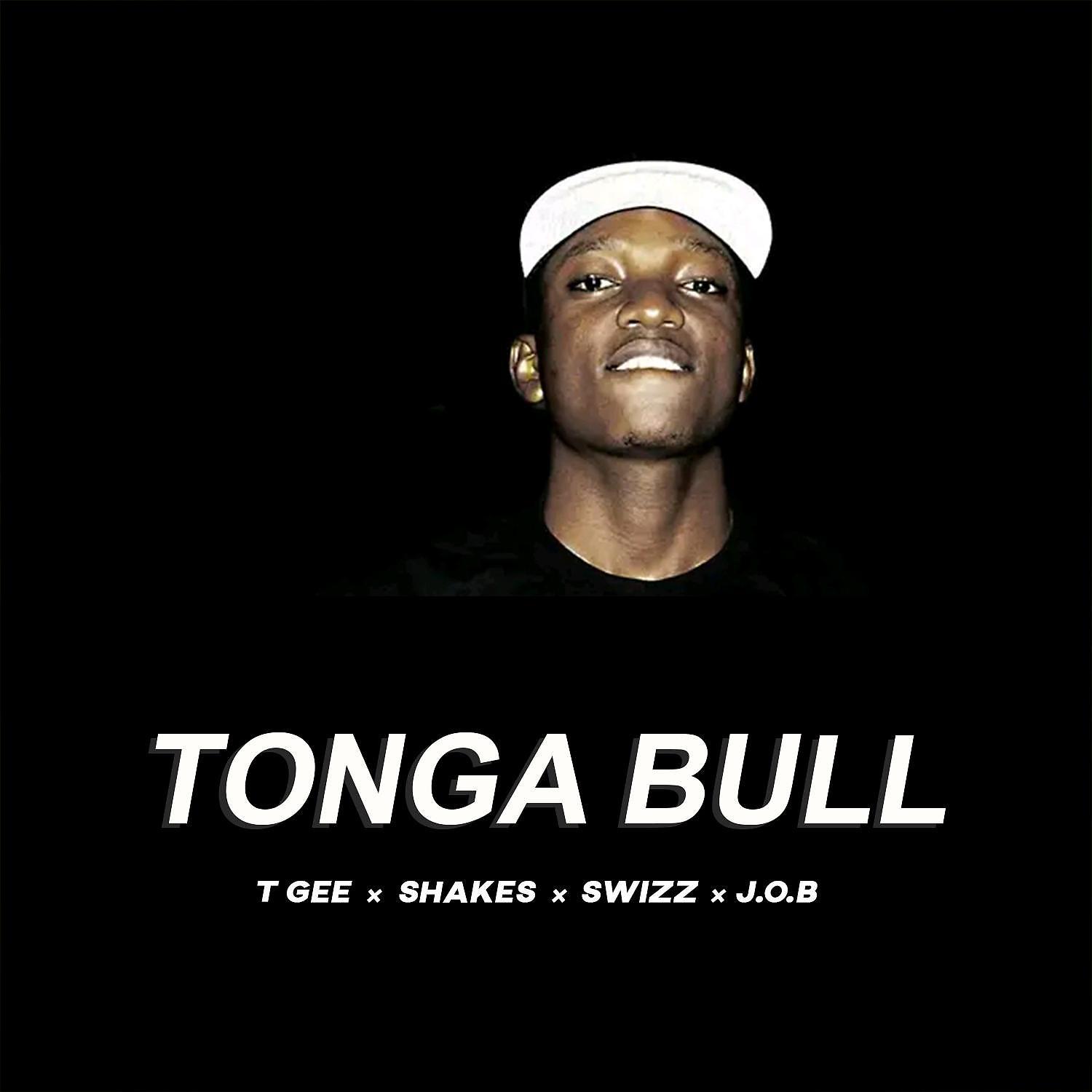 Постер альбома Tonga Bull (feat. Shakes,J.O.B & Swizz)