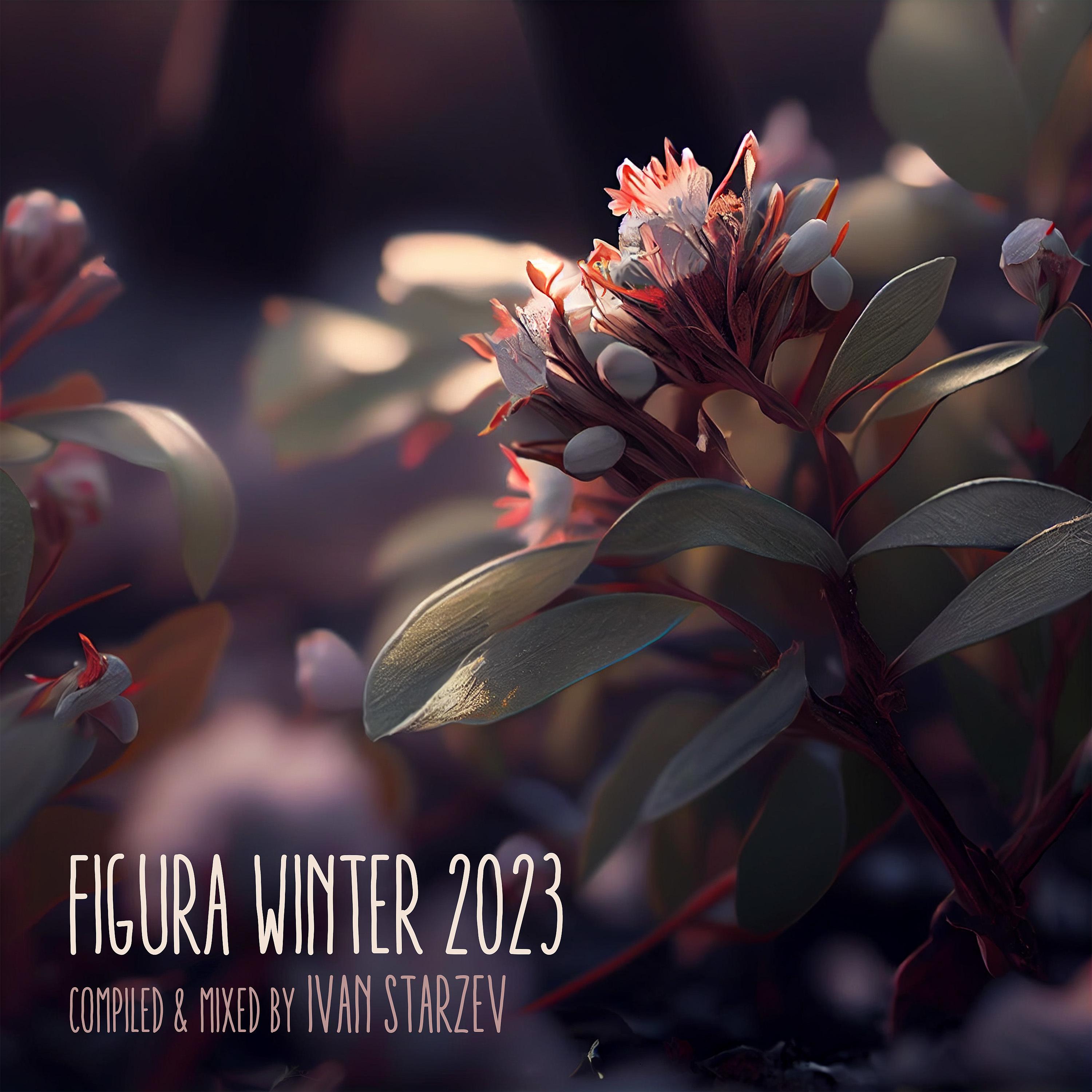 Постер альбома Figura Winter 2023