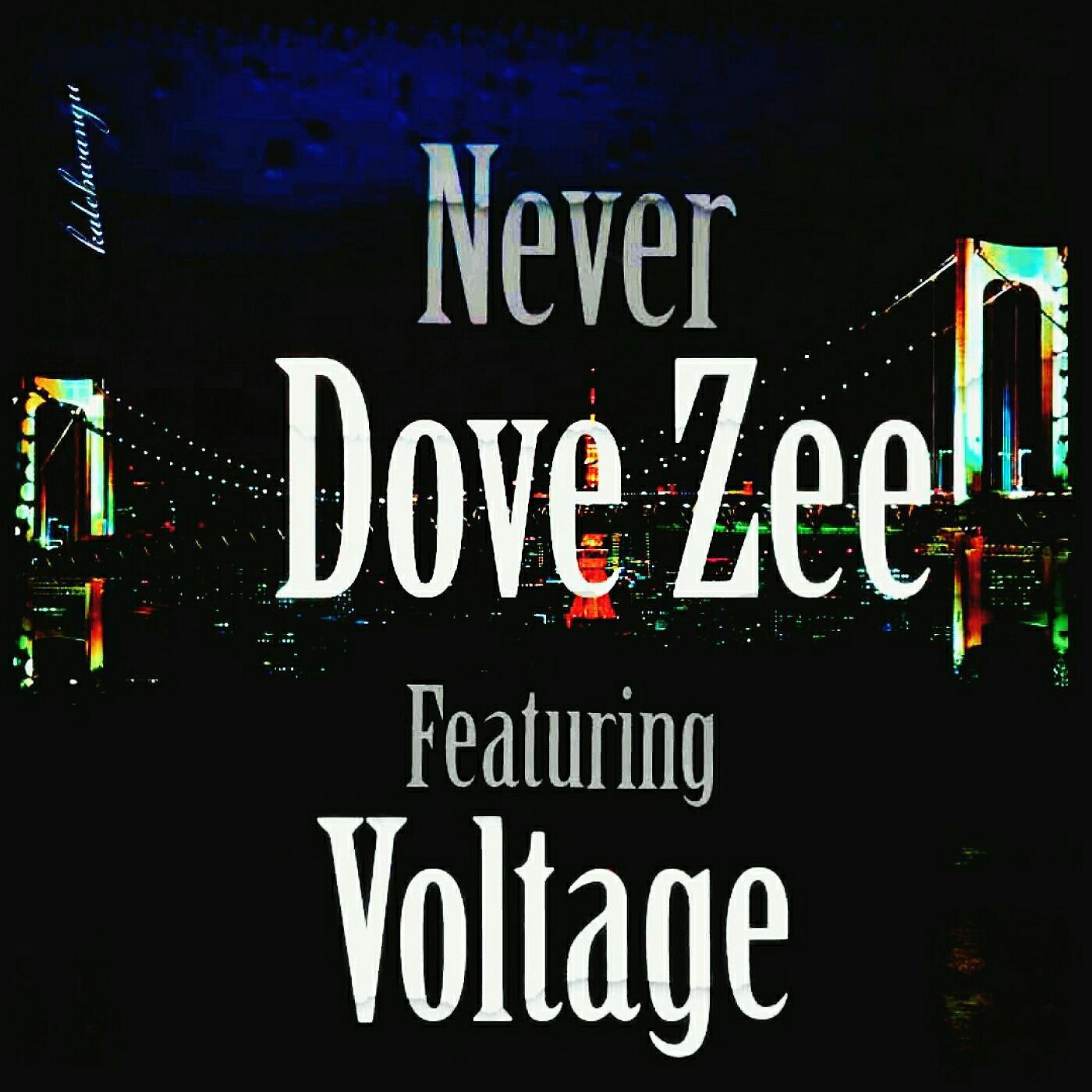 Постер альбома Never (feat. Voltage)