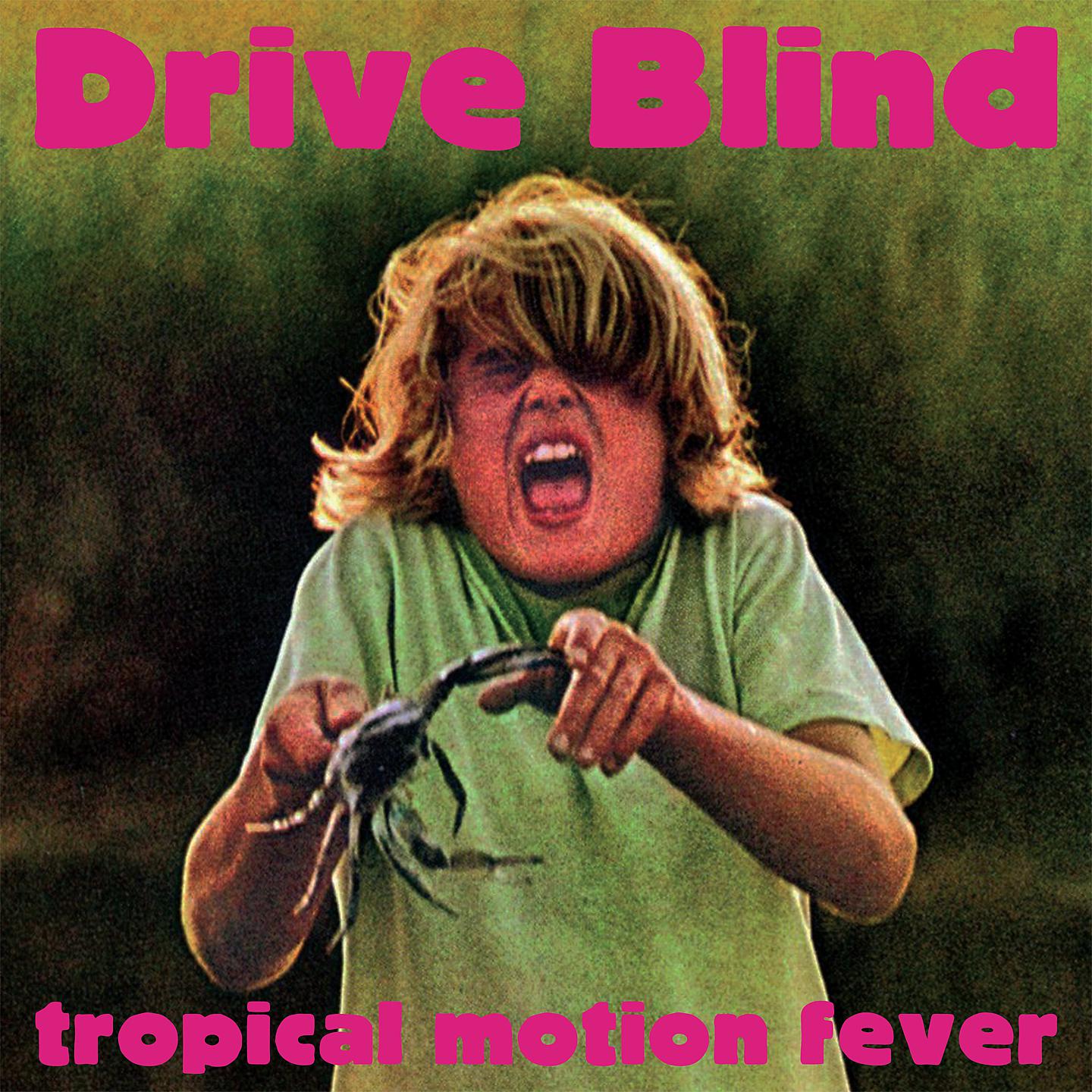 Постер альбома Tropical Motion Fever