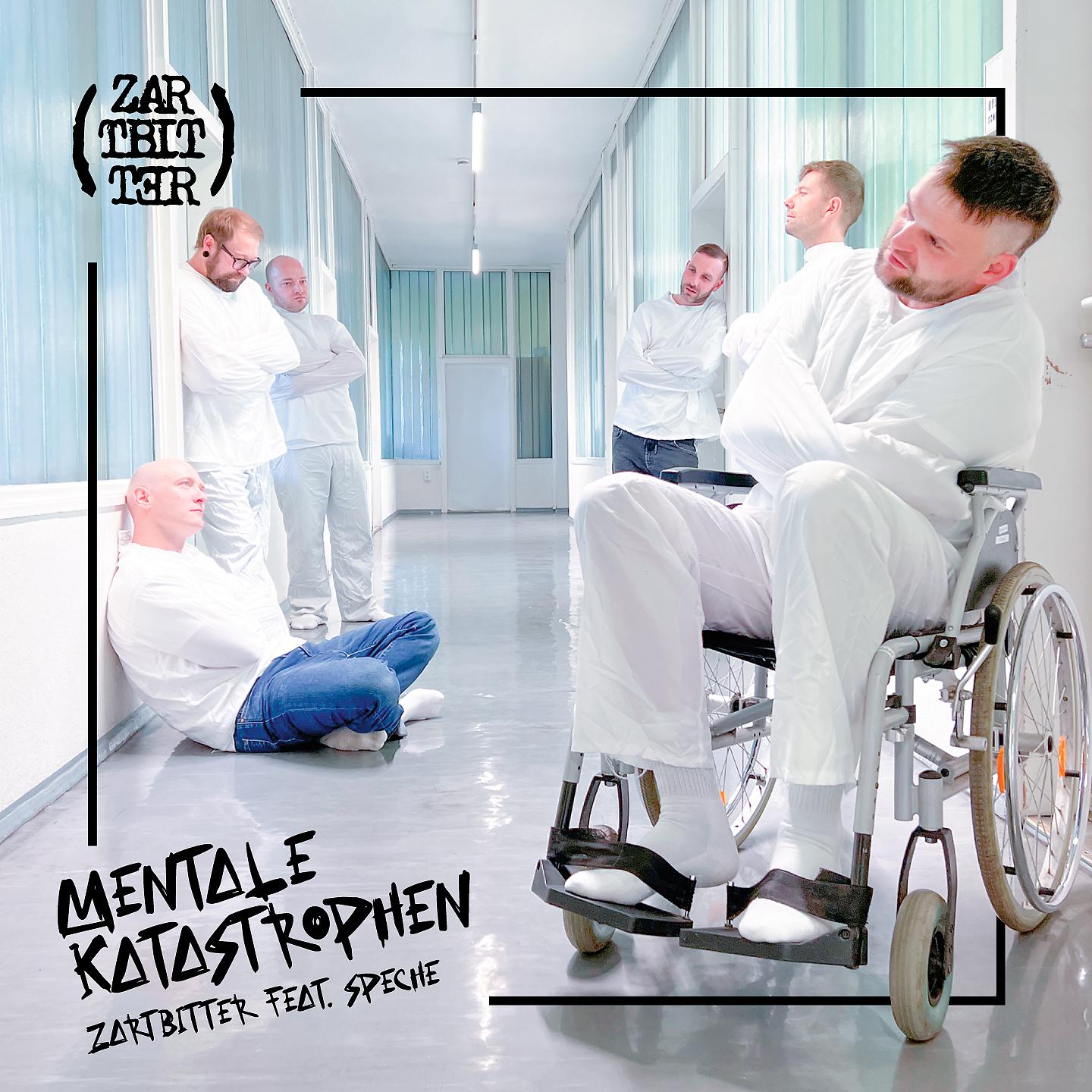Постер альбома Mentale Katastrophen