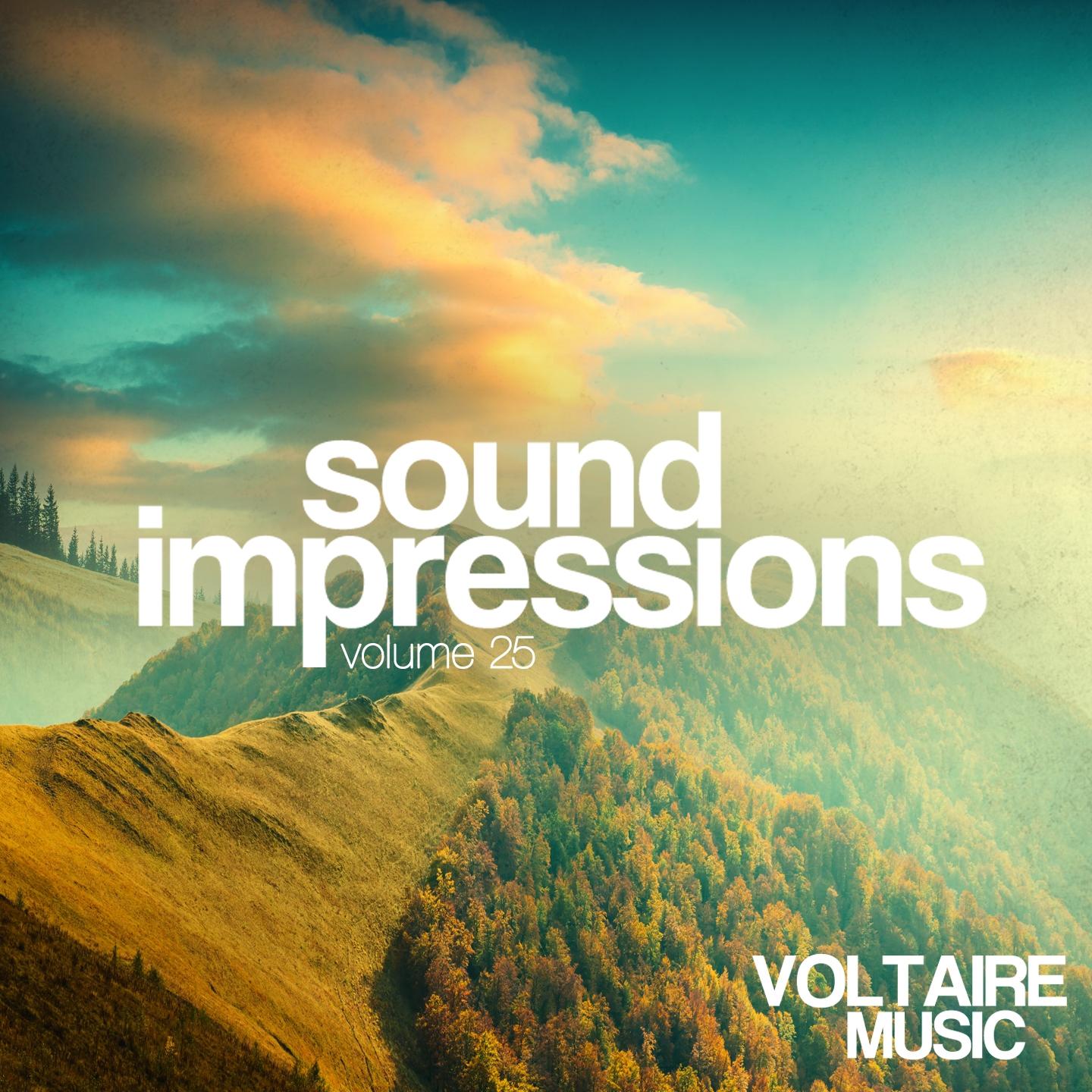 Постер альбома Sound Impressions, Vol. 25