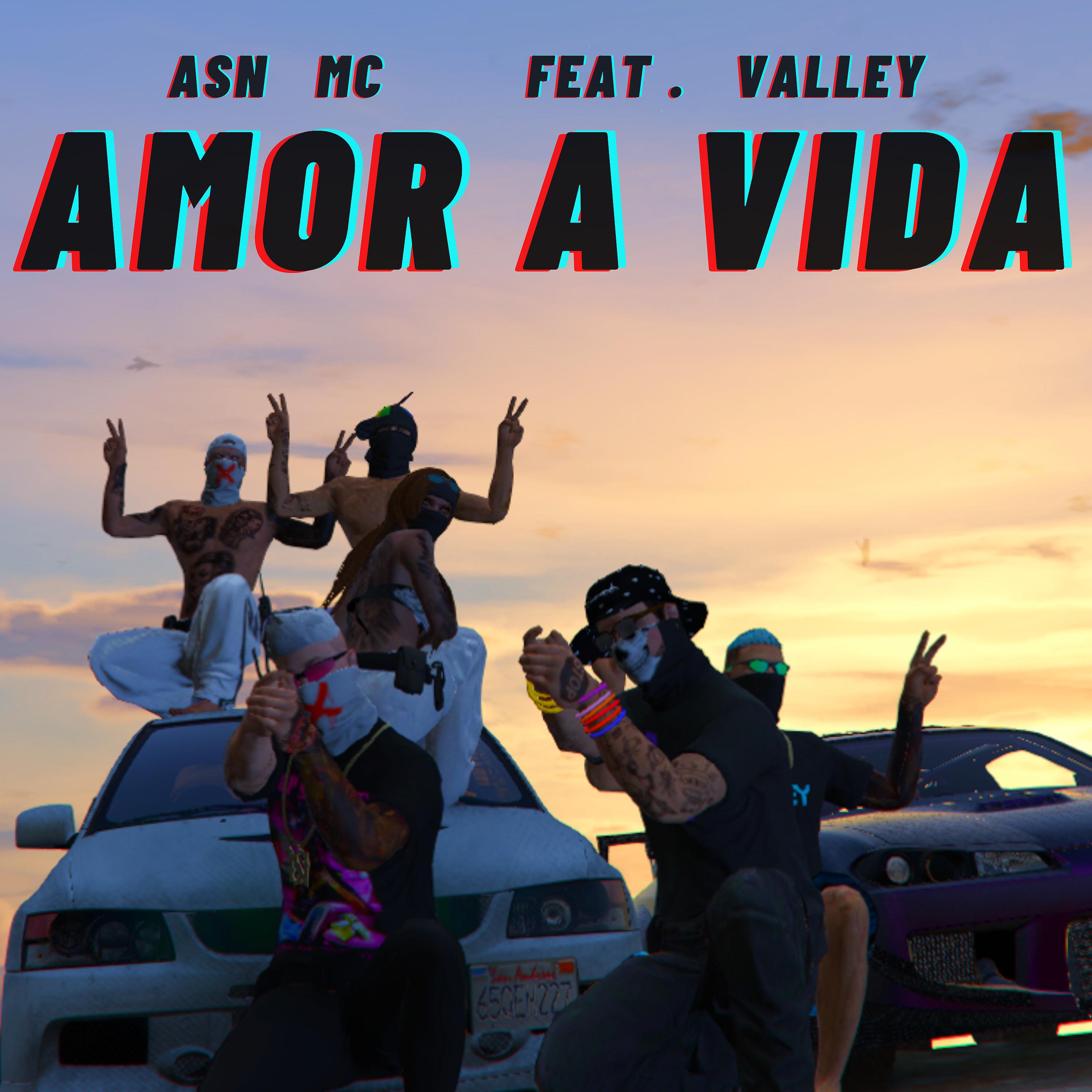 Постер альбома Amor a Vida