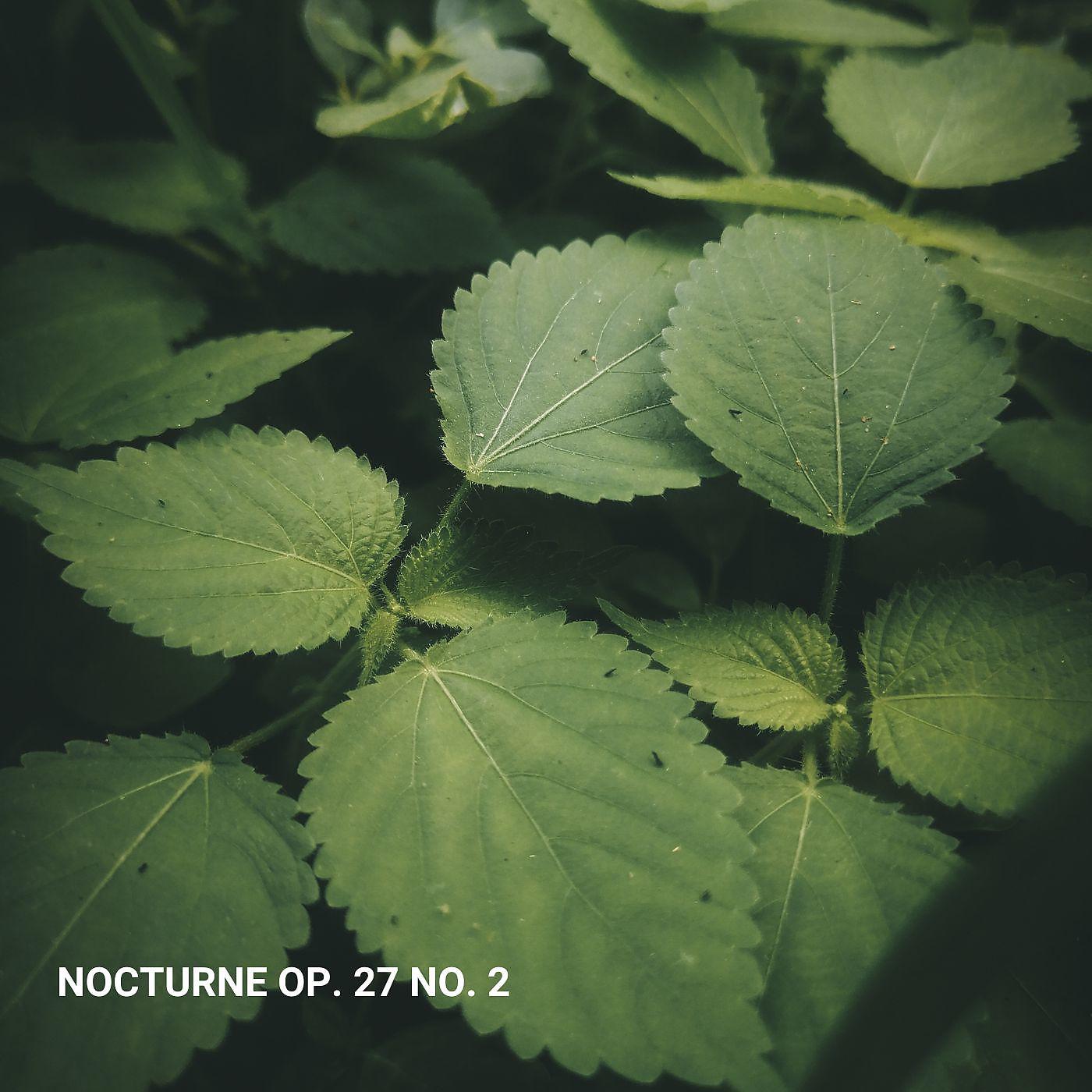 Постер альбома Nocturne Op. 27 No. 2