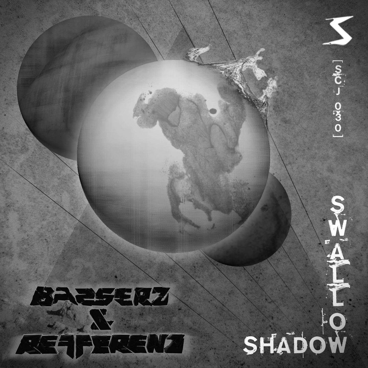 Постер альбома Swallow / Shadow