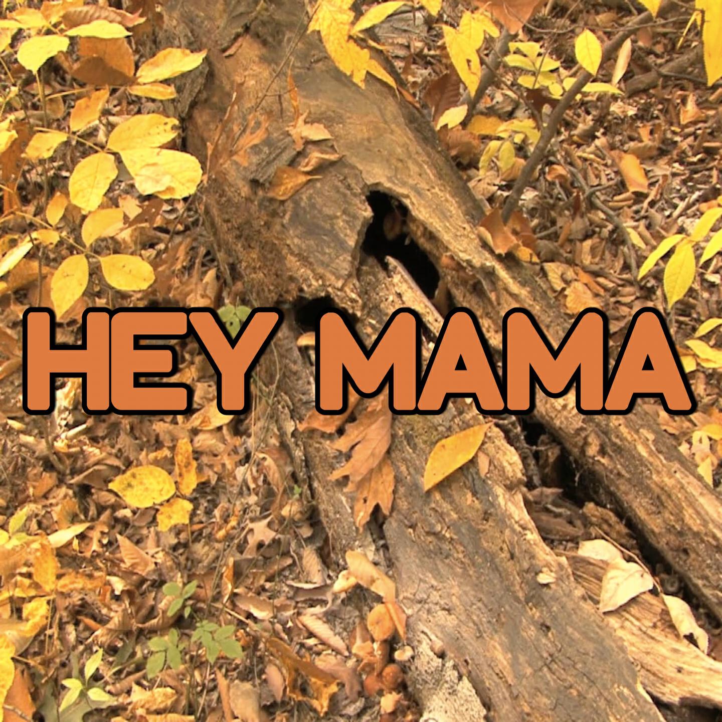 2015 Hammer Hits - Hey Mama - Tribute to David Guetta