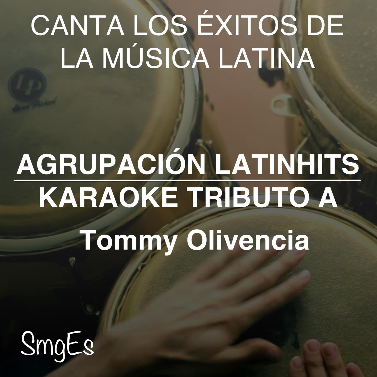 Постер альбома Instrumental Karaoke Series: Tommy Olivencia