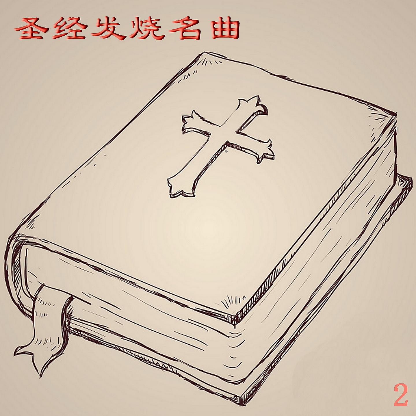 Постер альбома 圣经发烧名曲 2