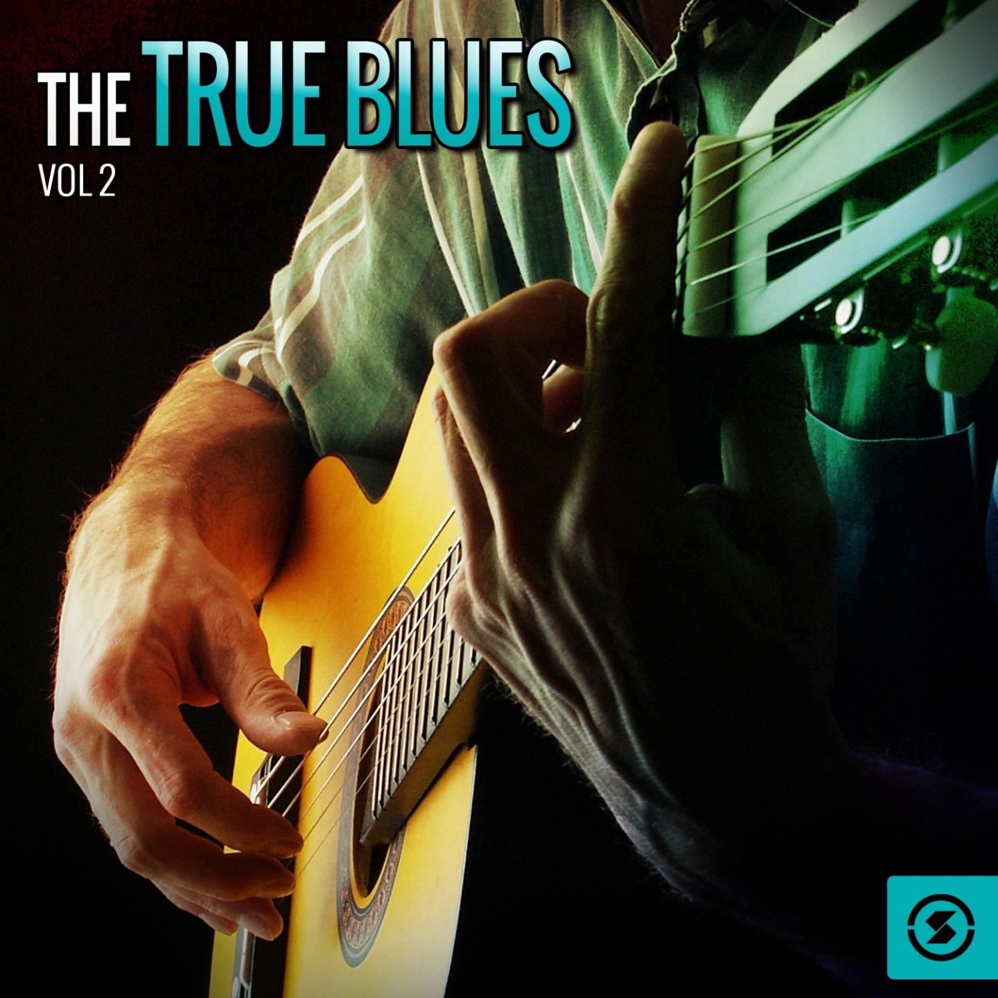 Постер альбома True Blues, Vol. 2