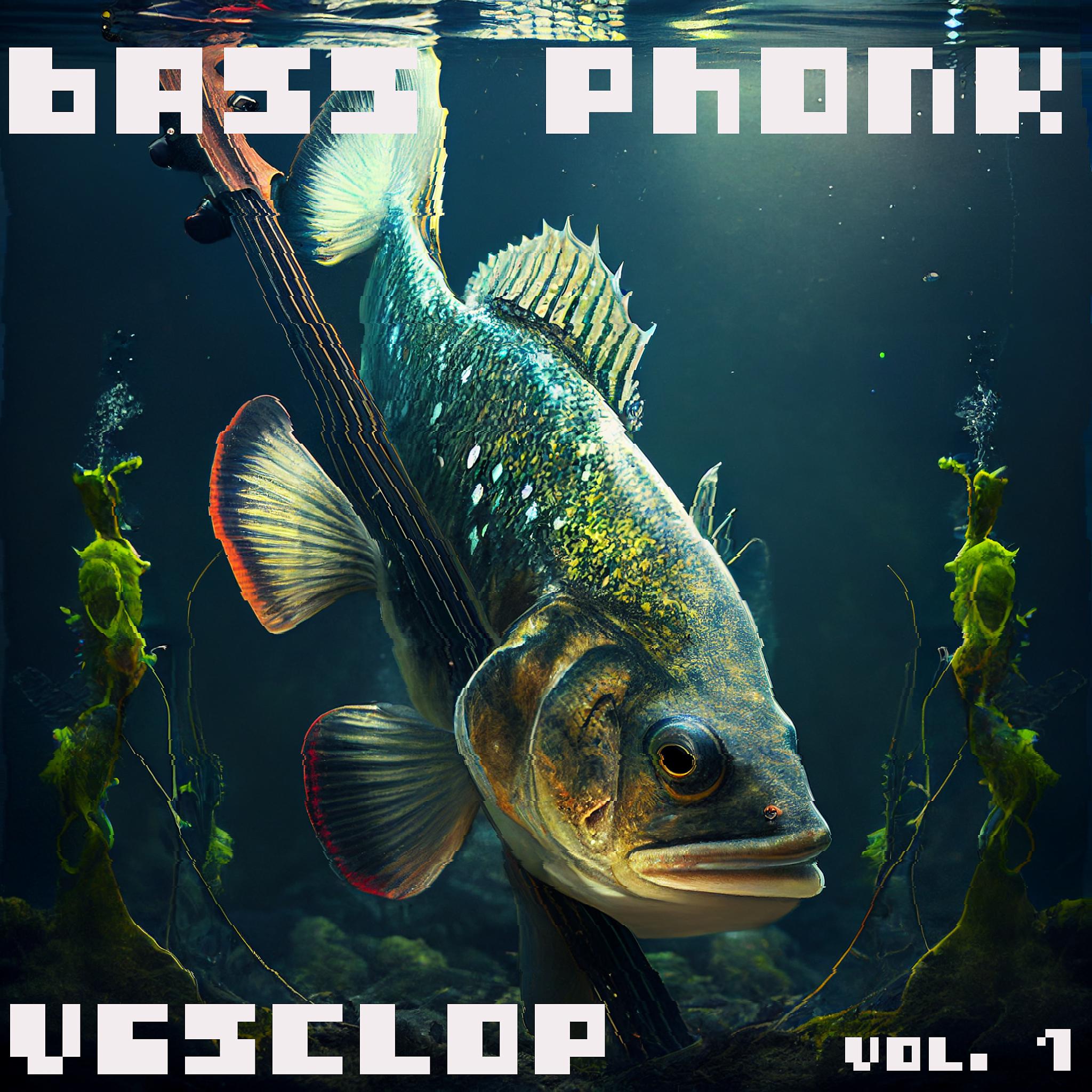 Постер альбома Bass Phonk, Vol. 1