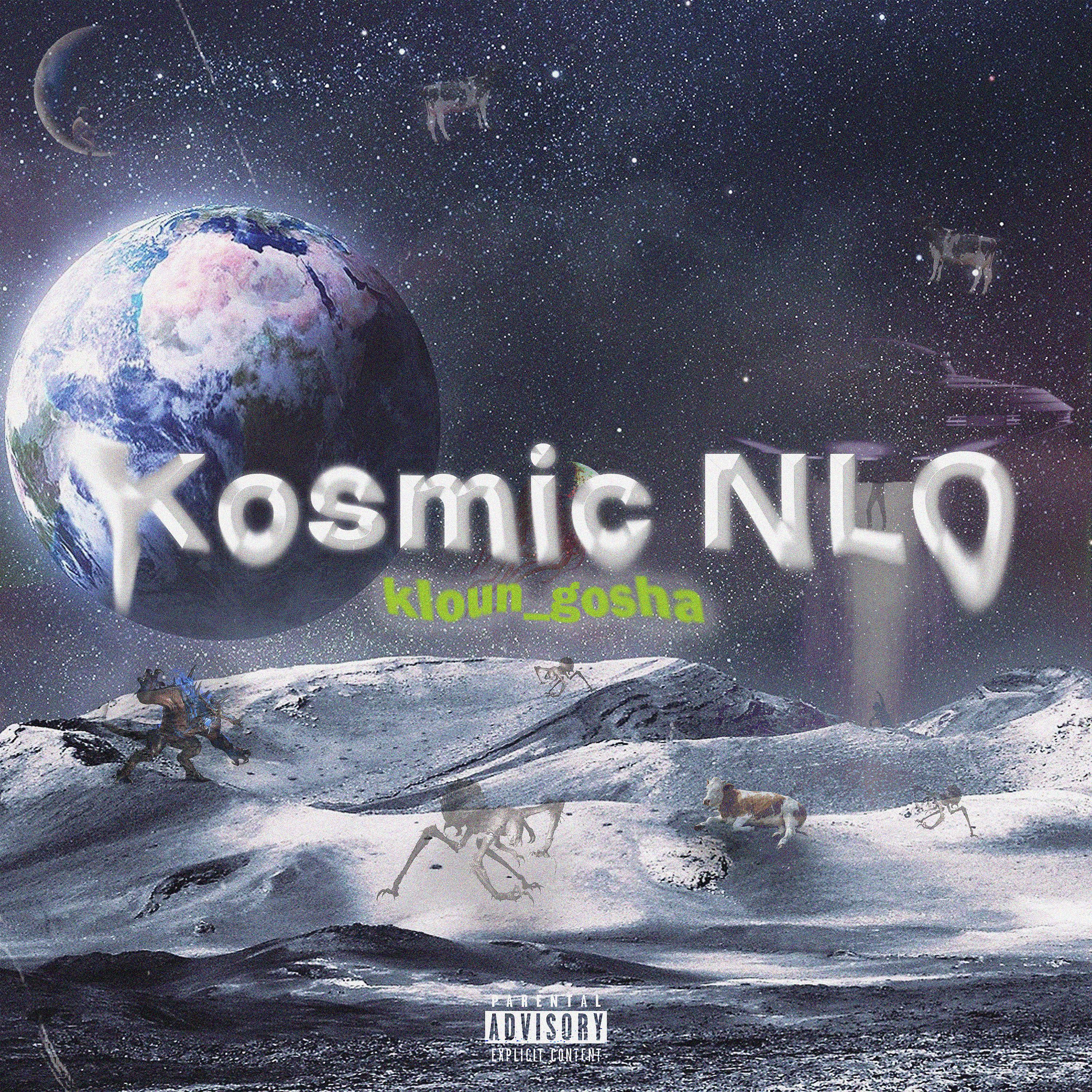 Постер альбома Kosmic NLO