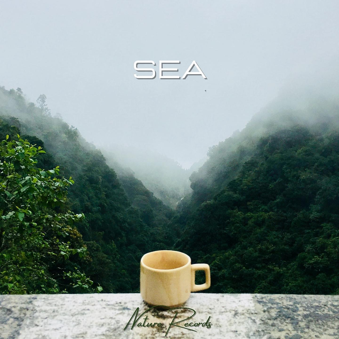 Постер альбома Sea