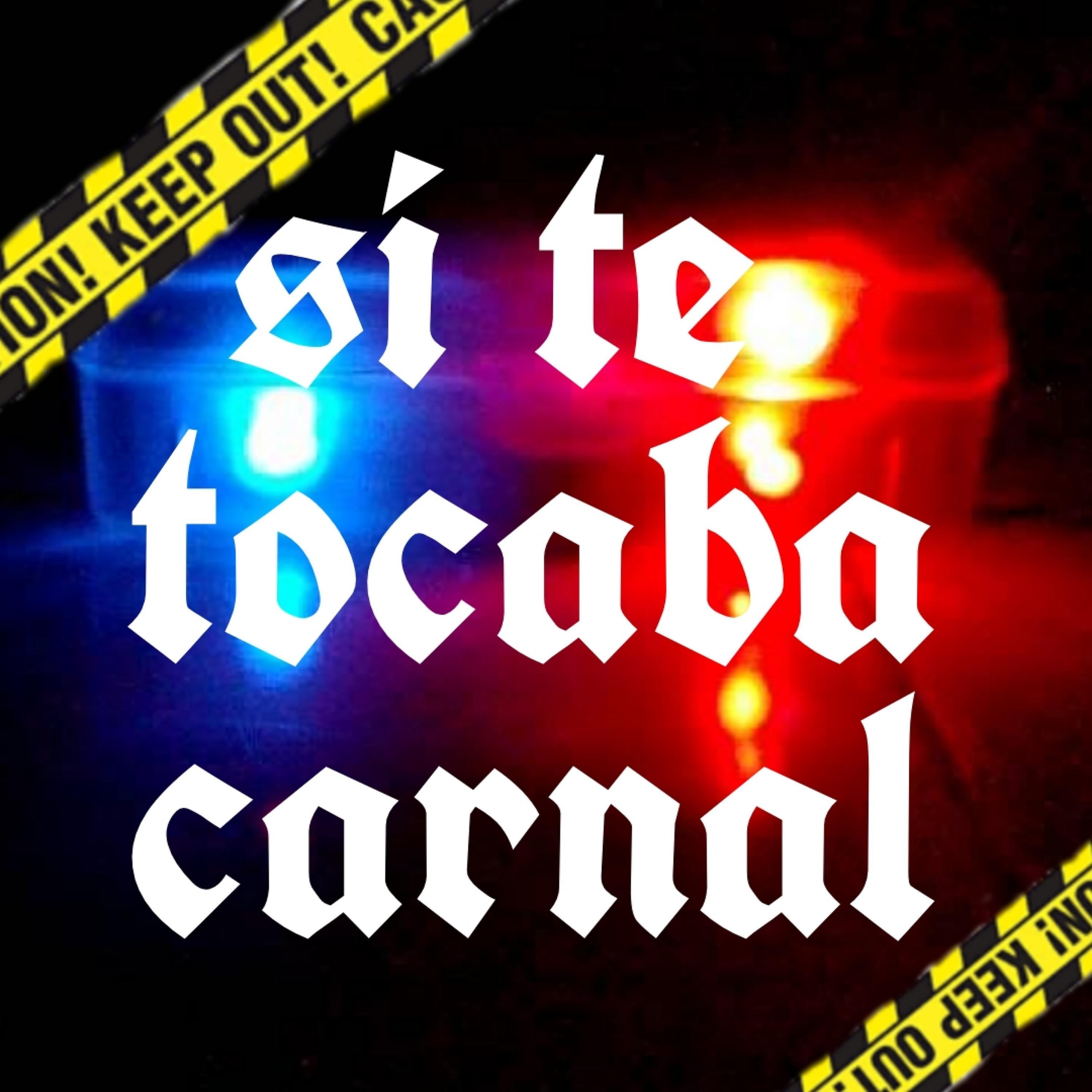 Постер альбома Si Te Tocaba Carnal