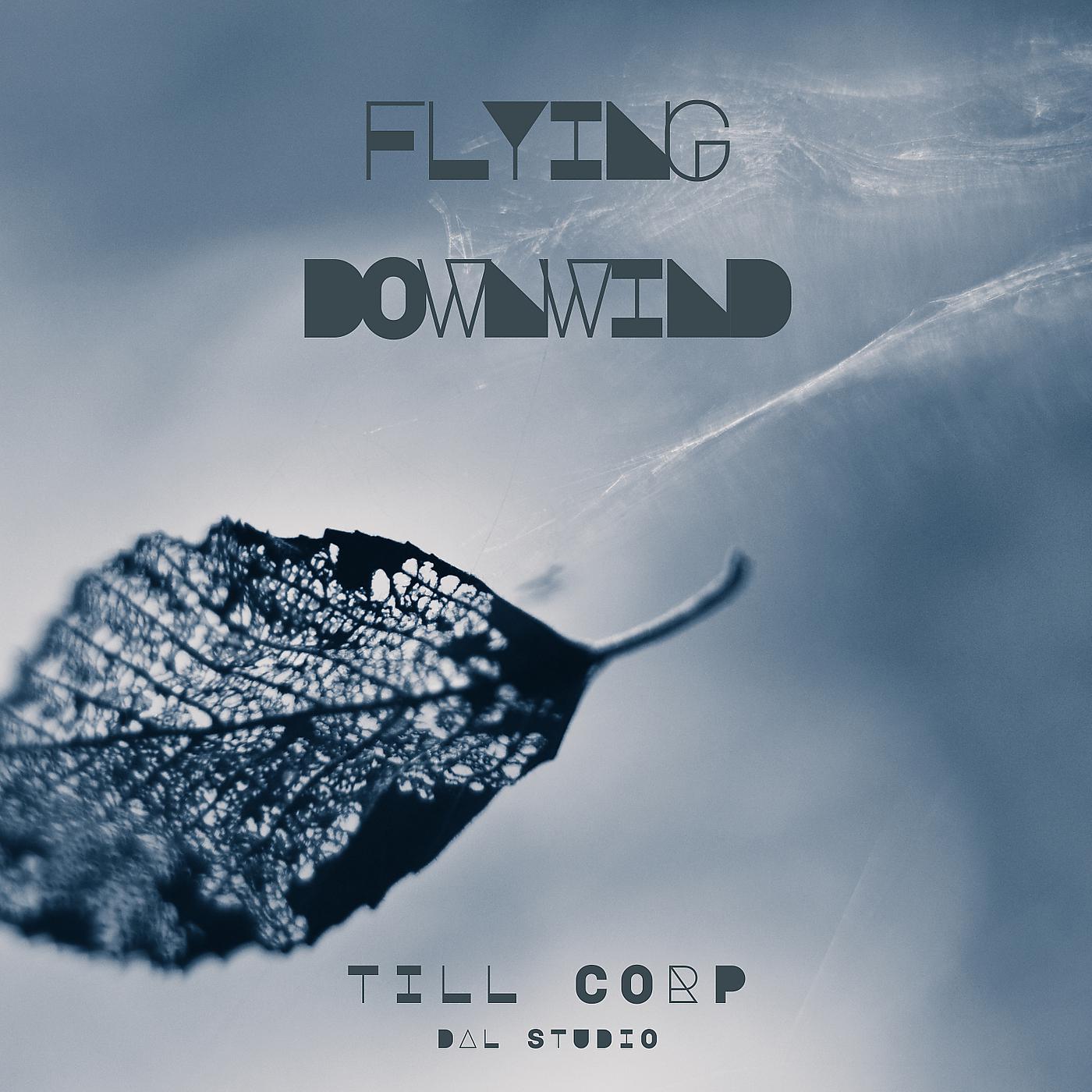 Постер альбома Flying Downwind