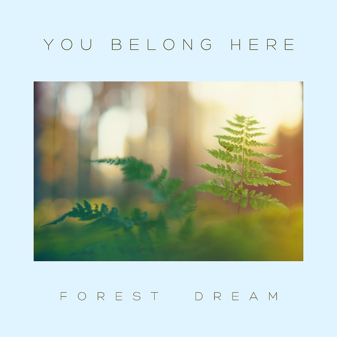 Постер альбома Forest Dream