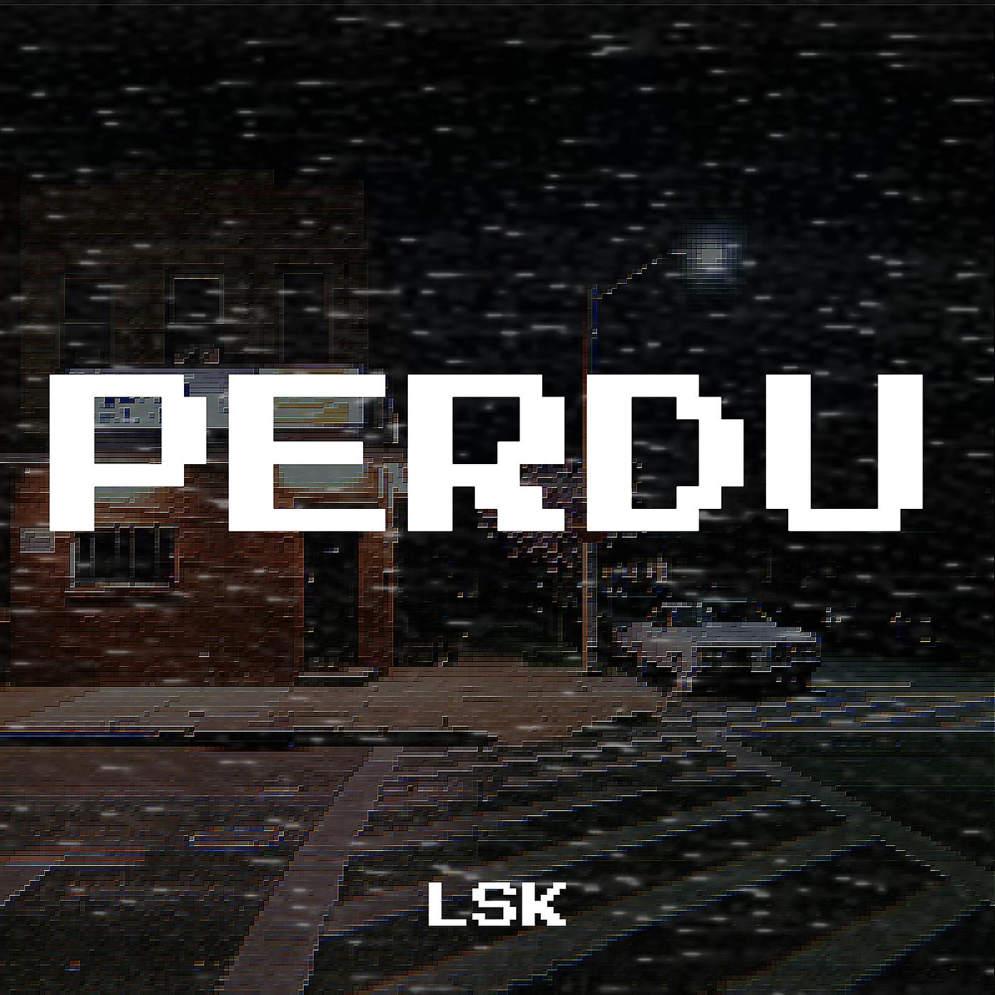 Постер альбома PERDU