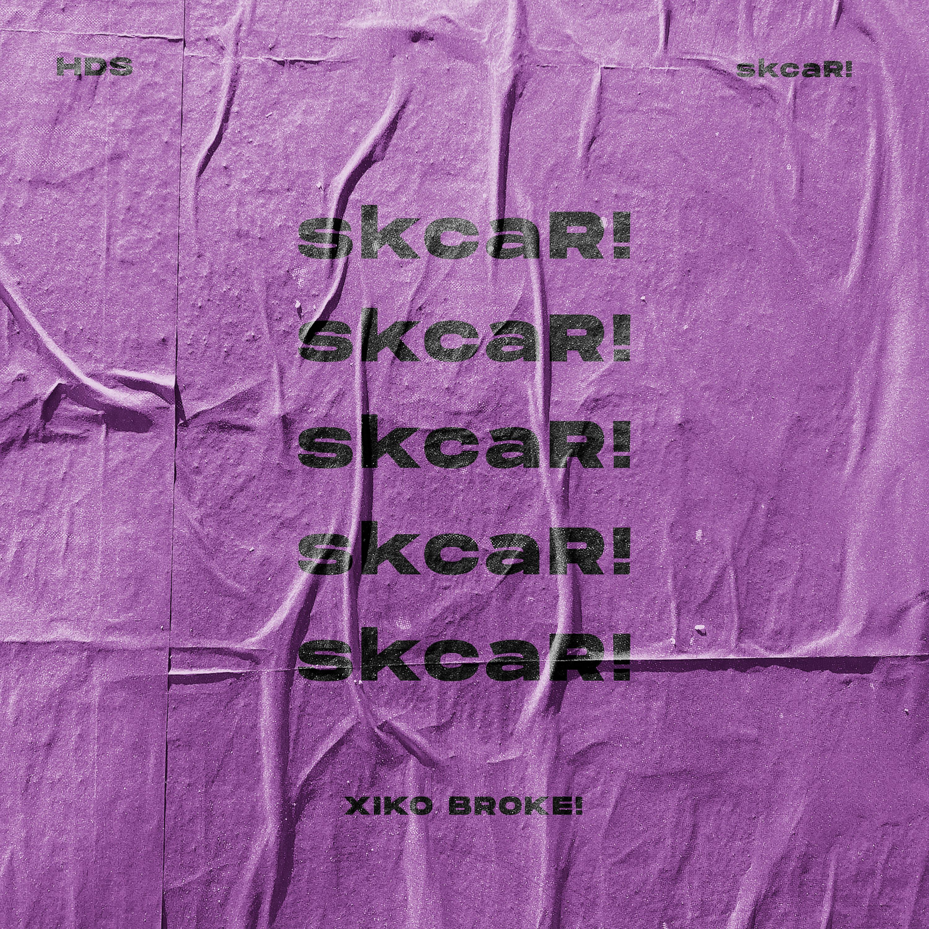 Постер альбома Skcar!