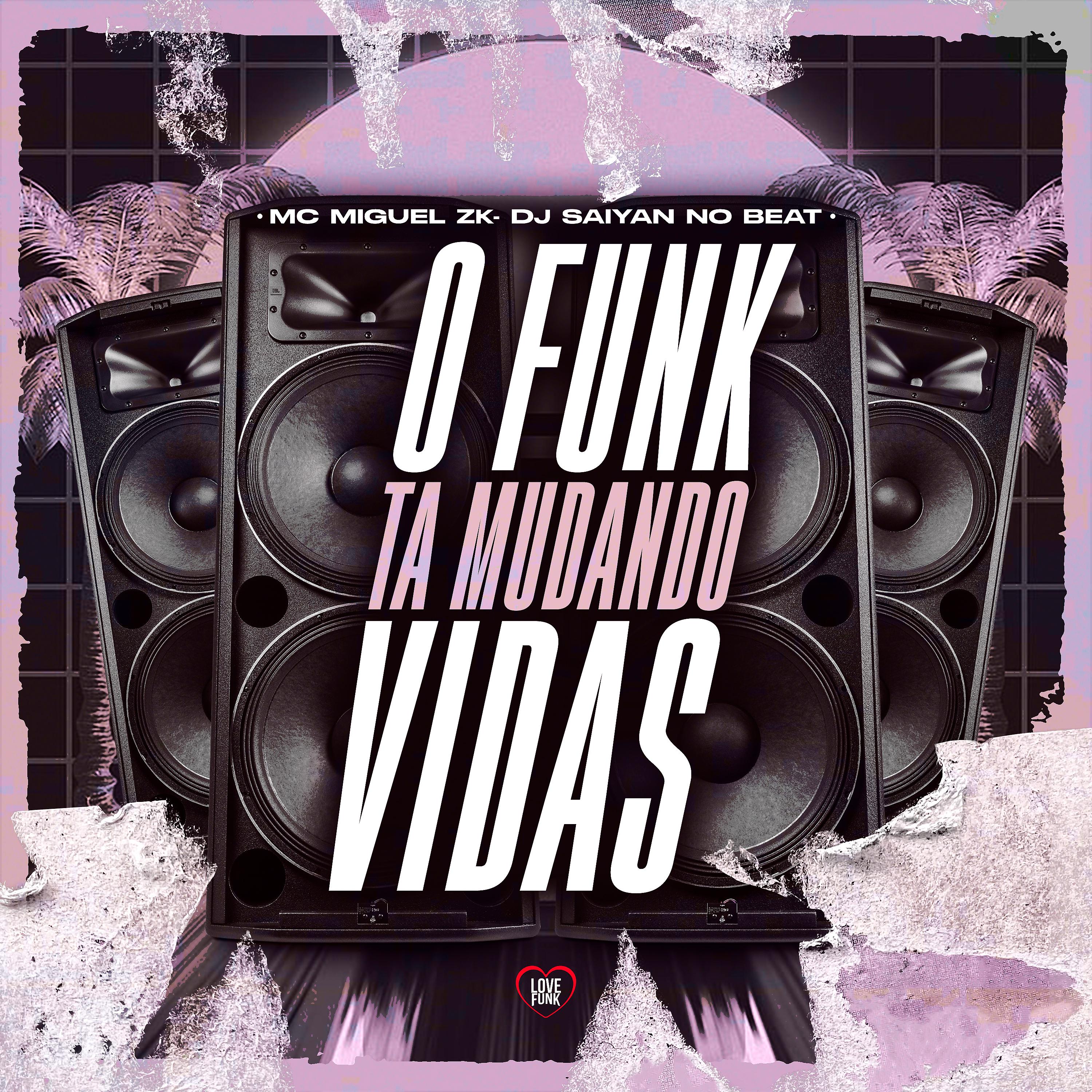 Постер альбома O Funk Ta Mudando Vidas
