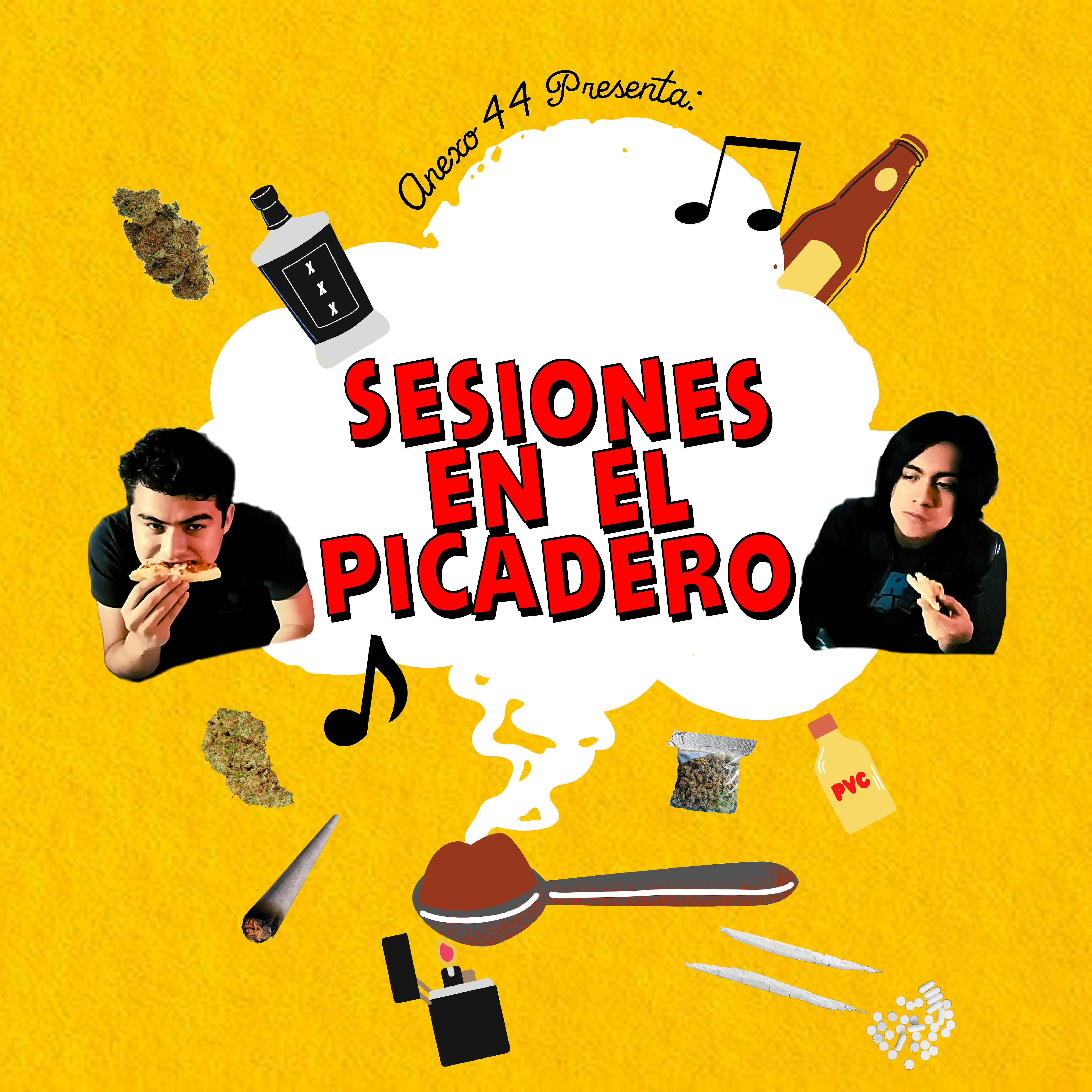 Постер альбома Sesiones en el Picadero