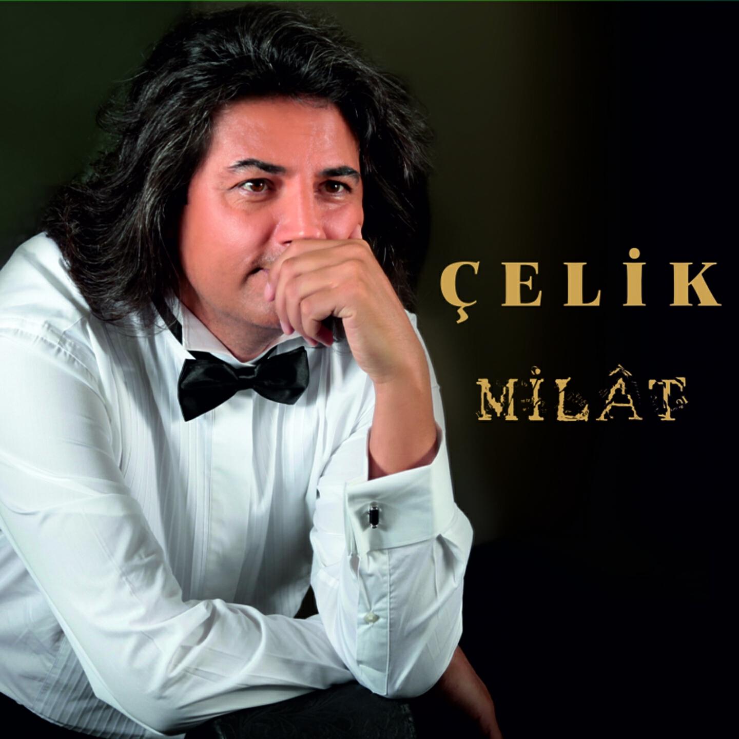 Çelik - Hercai (Version 1)