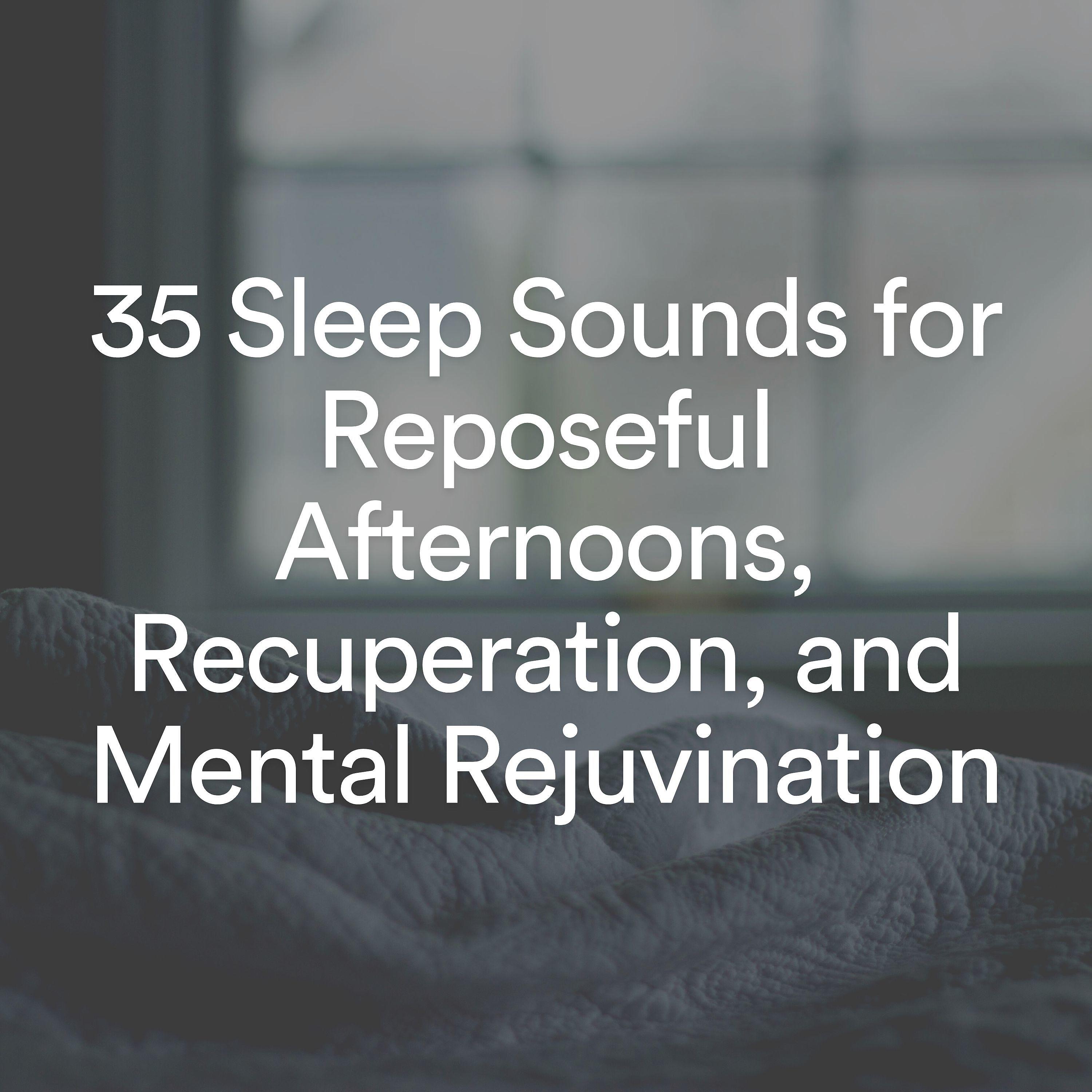 Постер альбома 35 Sleep Sounds for Reposeful Afternoons, Recuperation, and Mental Rejuvination