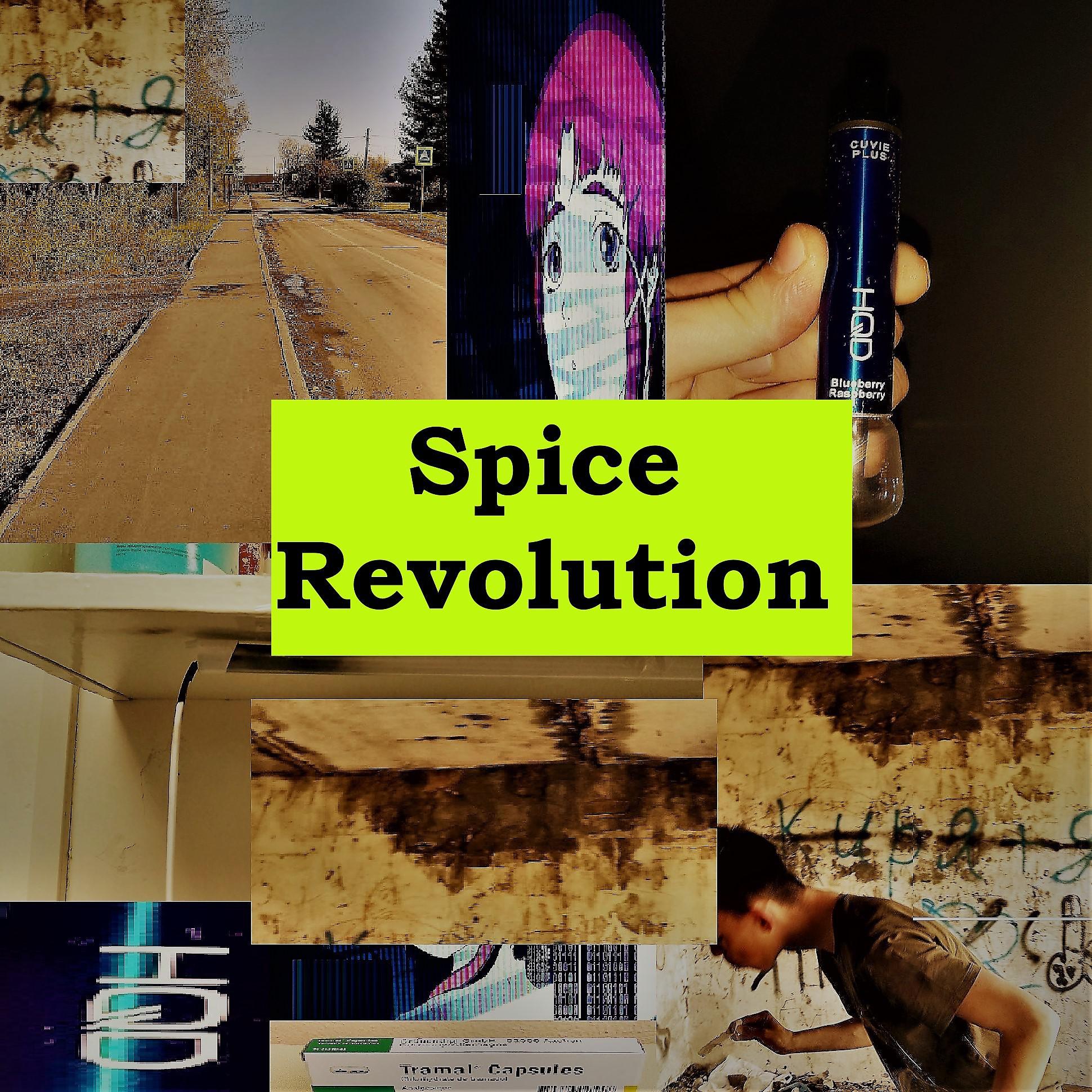 Постер альбома Spice Revolution