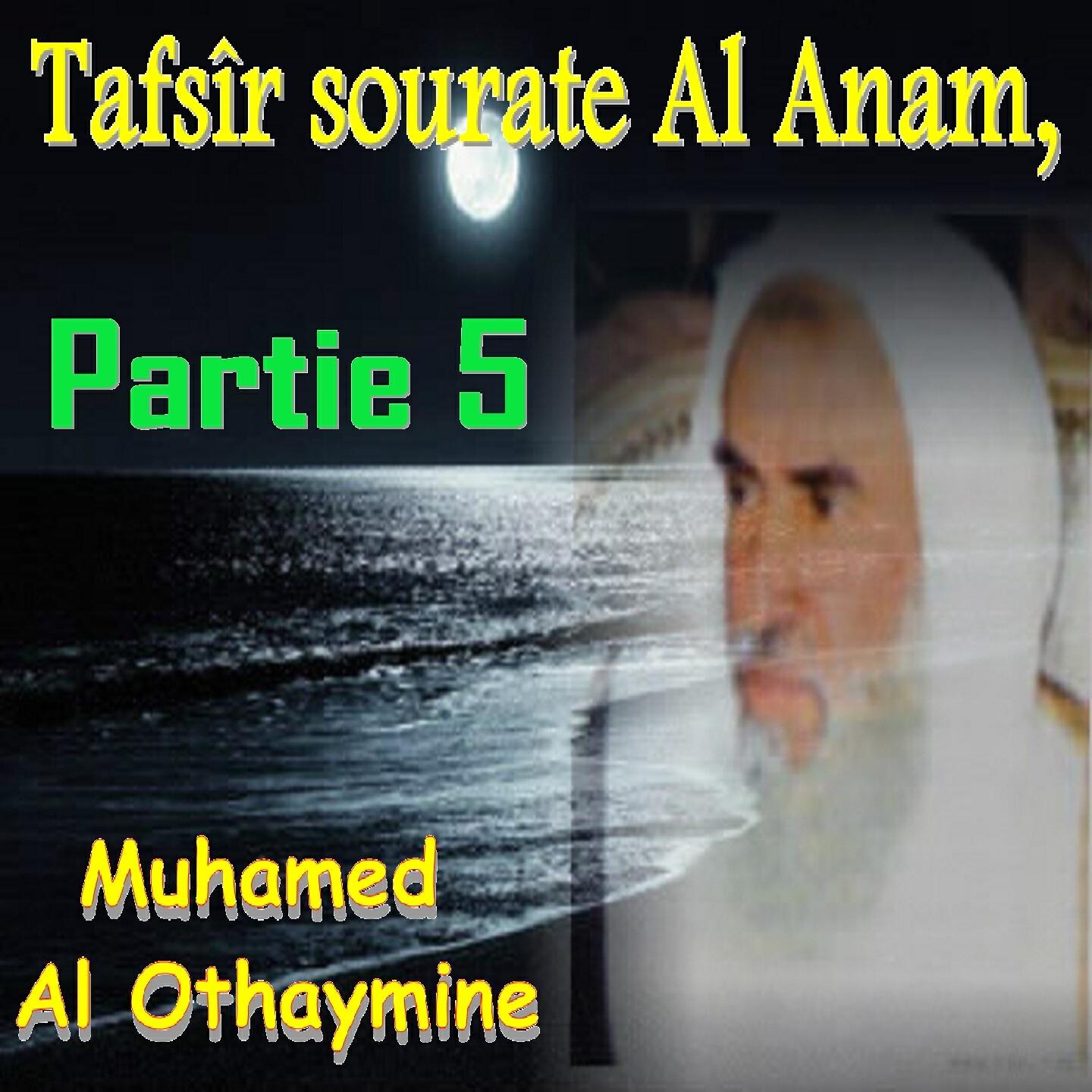 Muhamed  Al Othaymine - Tafsîr sourate Al Anam, Partie 5, Pt.2