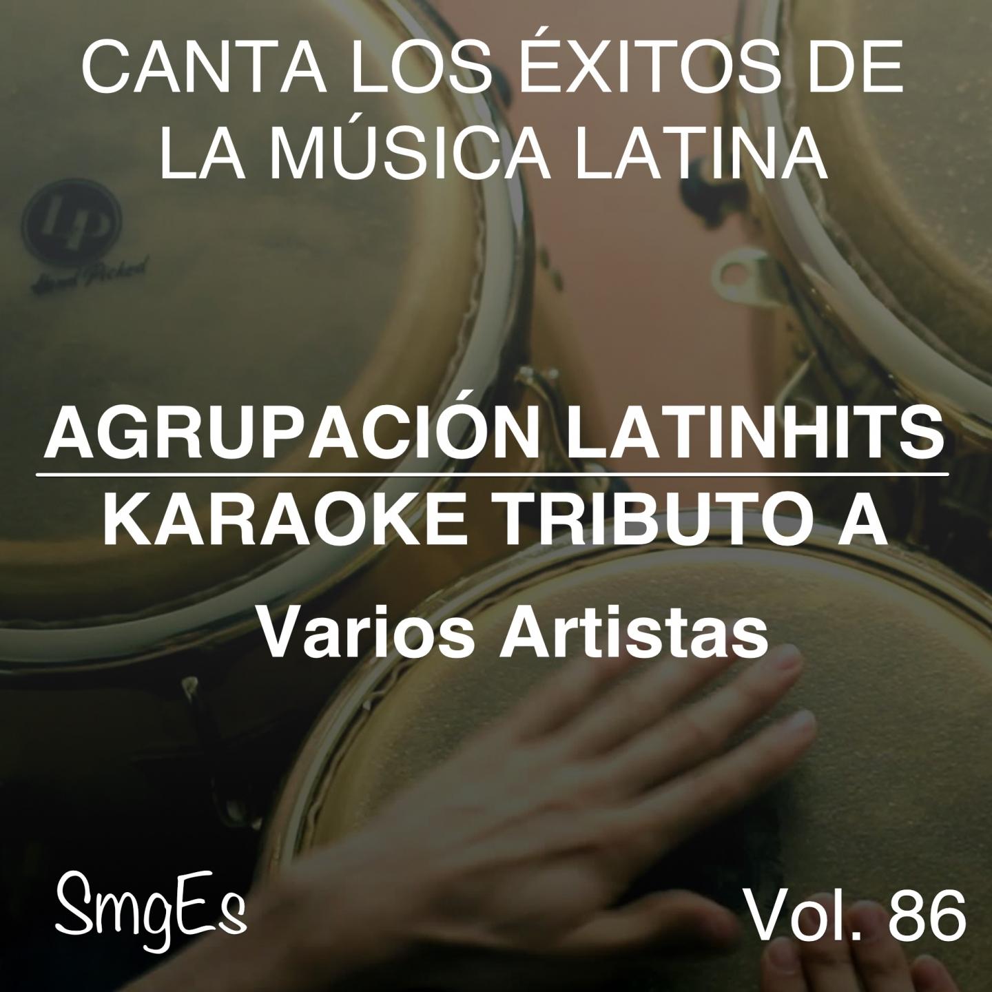 Постер альбома Instrumental Karaoke Series: Varios Artistas, Vol. 86