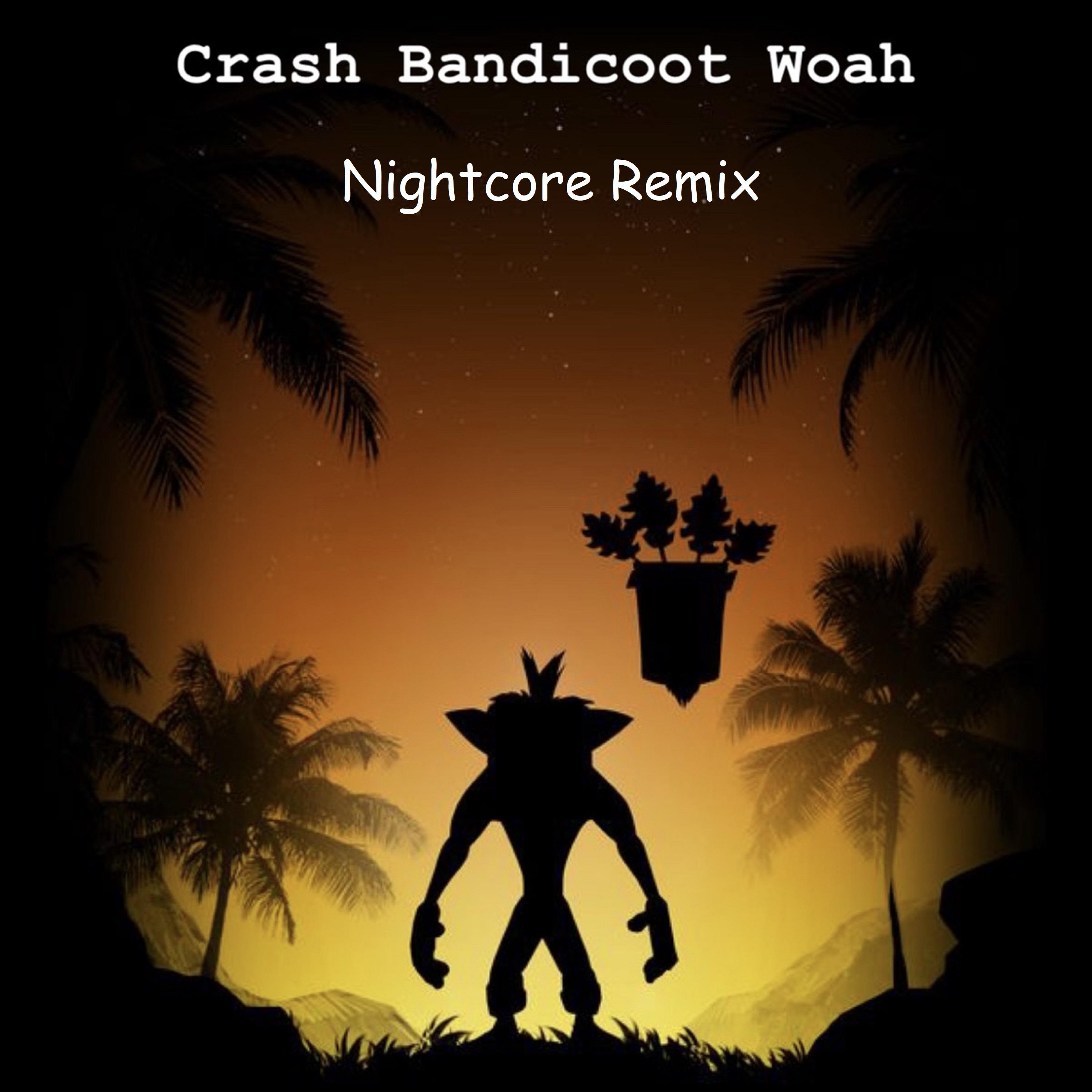 Постер альбома Crash Bandicoot Woah