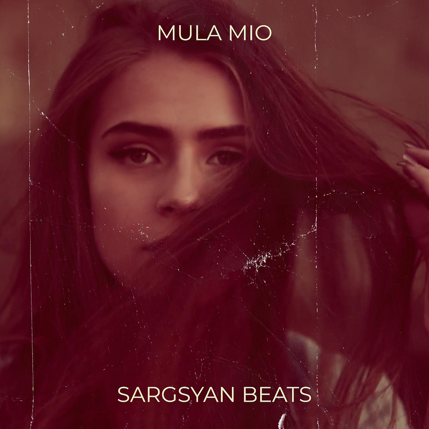 Постер альбома Mula Mio