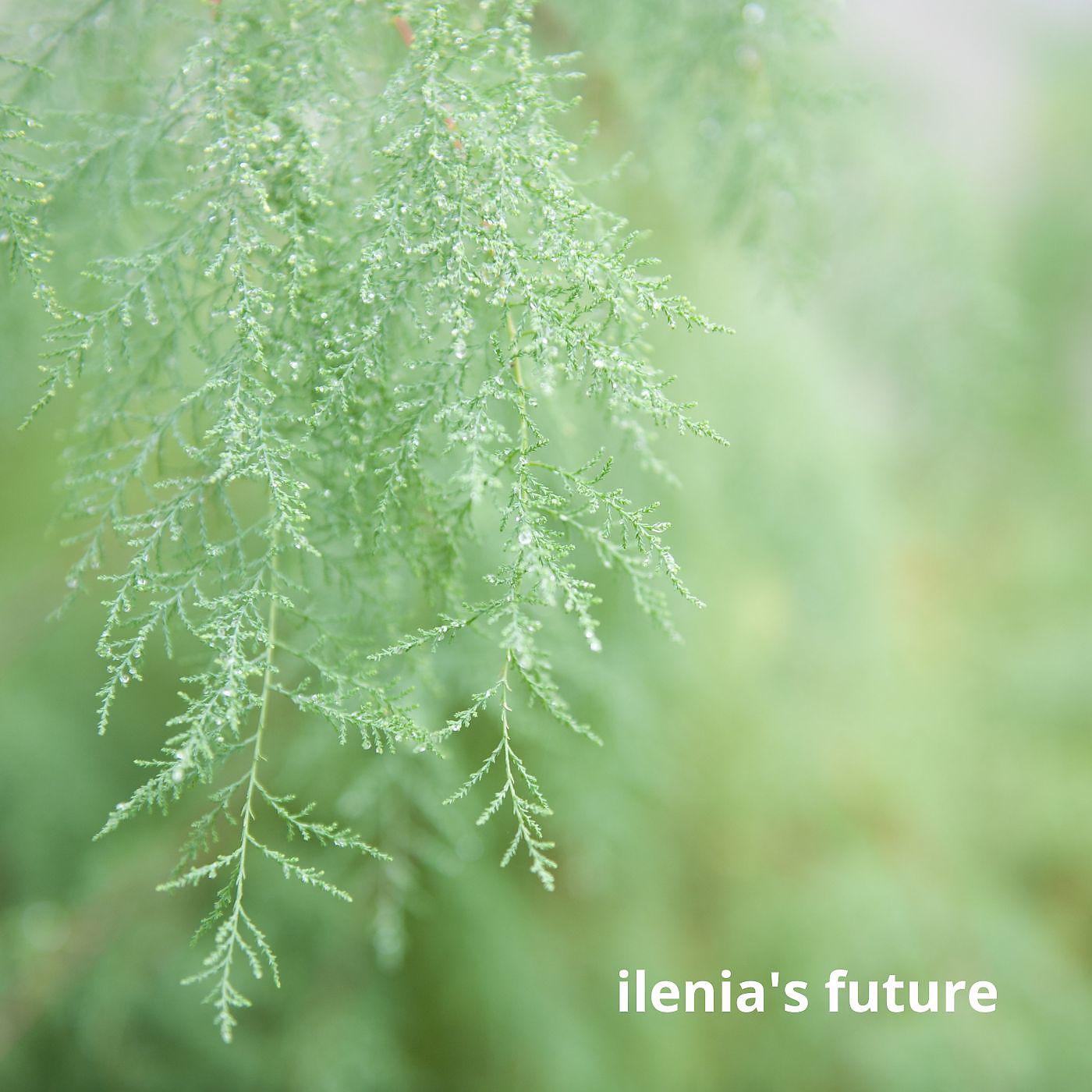 Постер альбома Ilenia's future