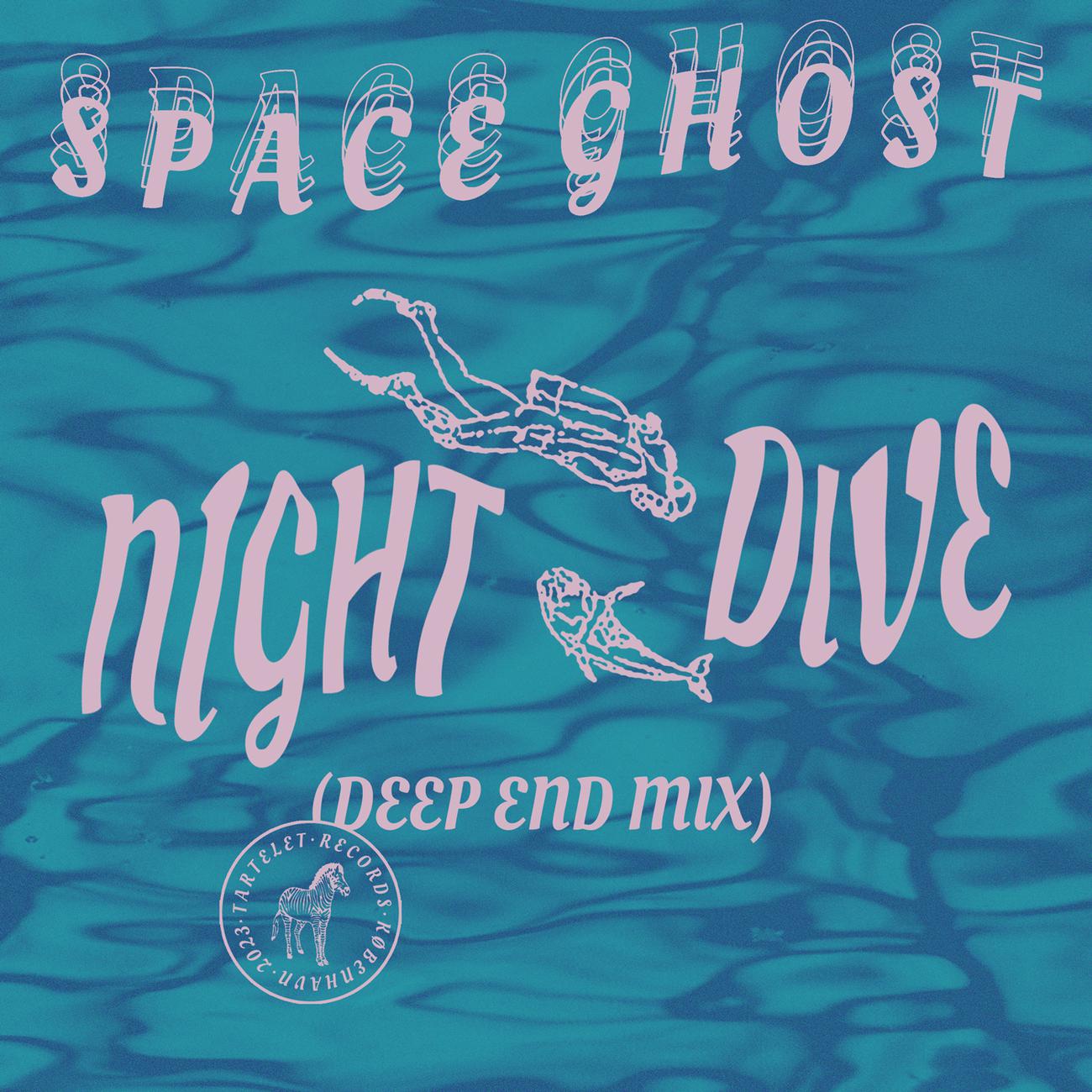 Постер альбома Night Dive