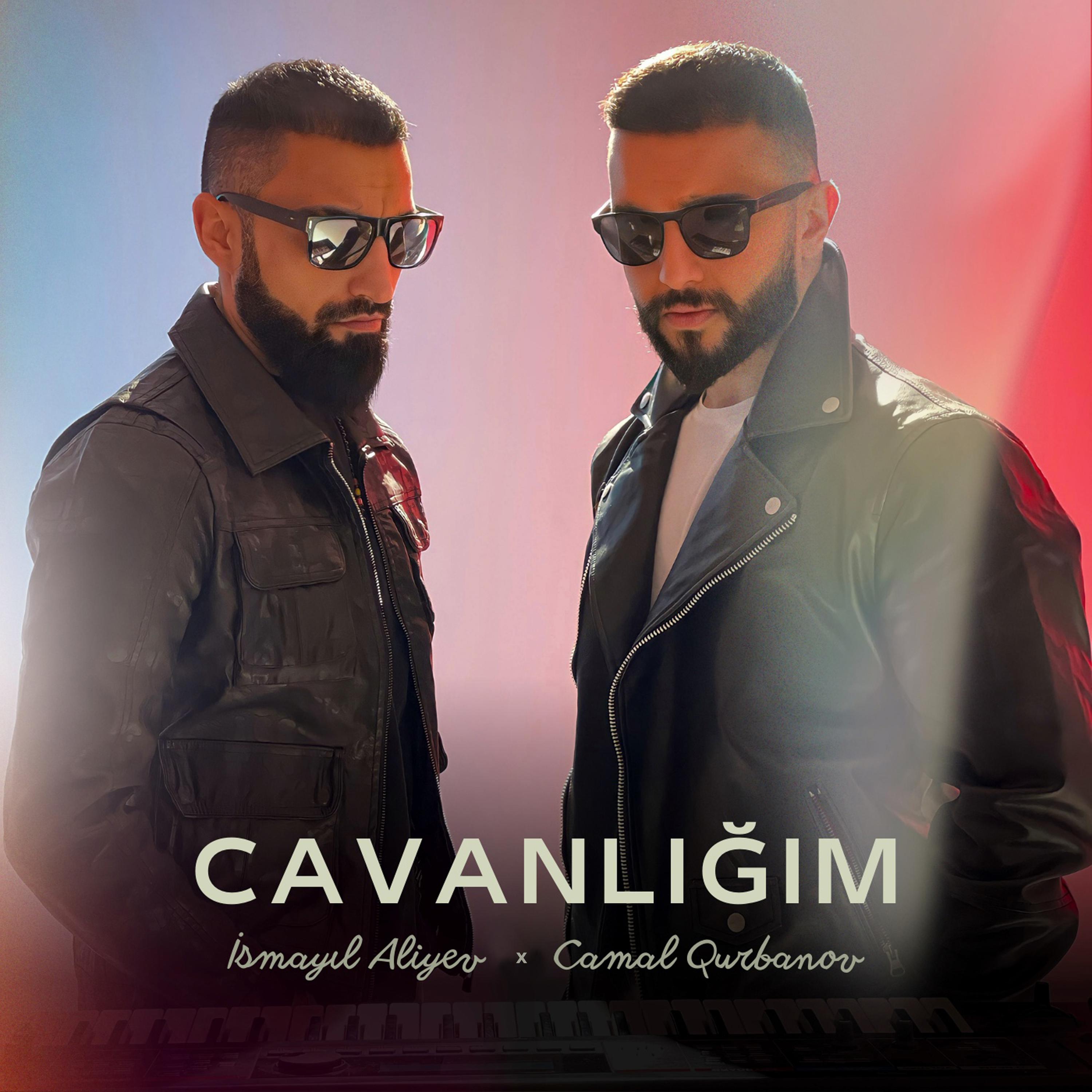 Постер альбома Cavanlığım