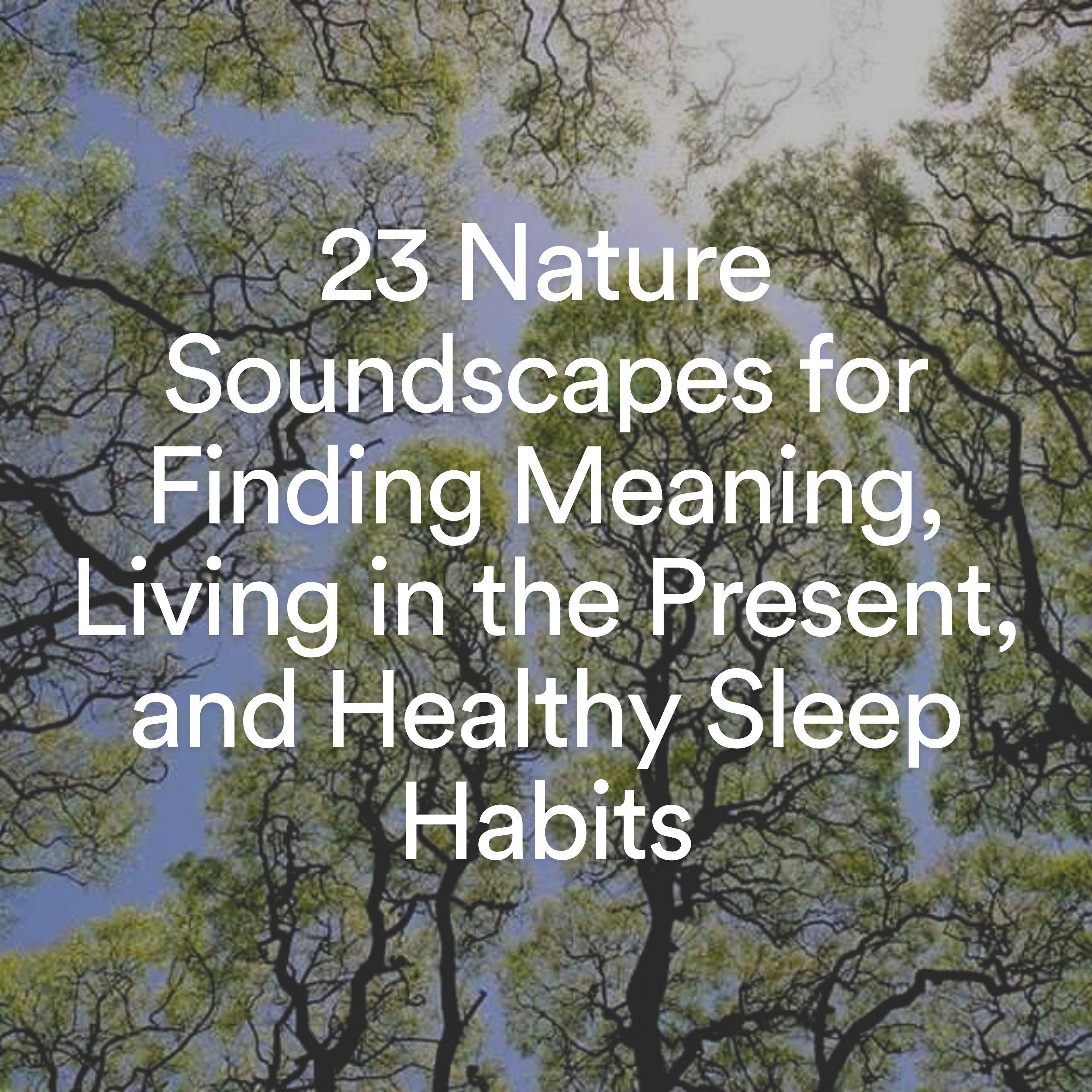 Постер альбома 23 Nature Soundscapes for Finding Meaning, Living in the Present, and Healthy Sleep Habits