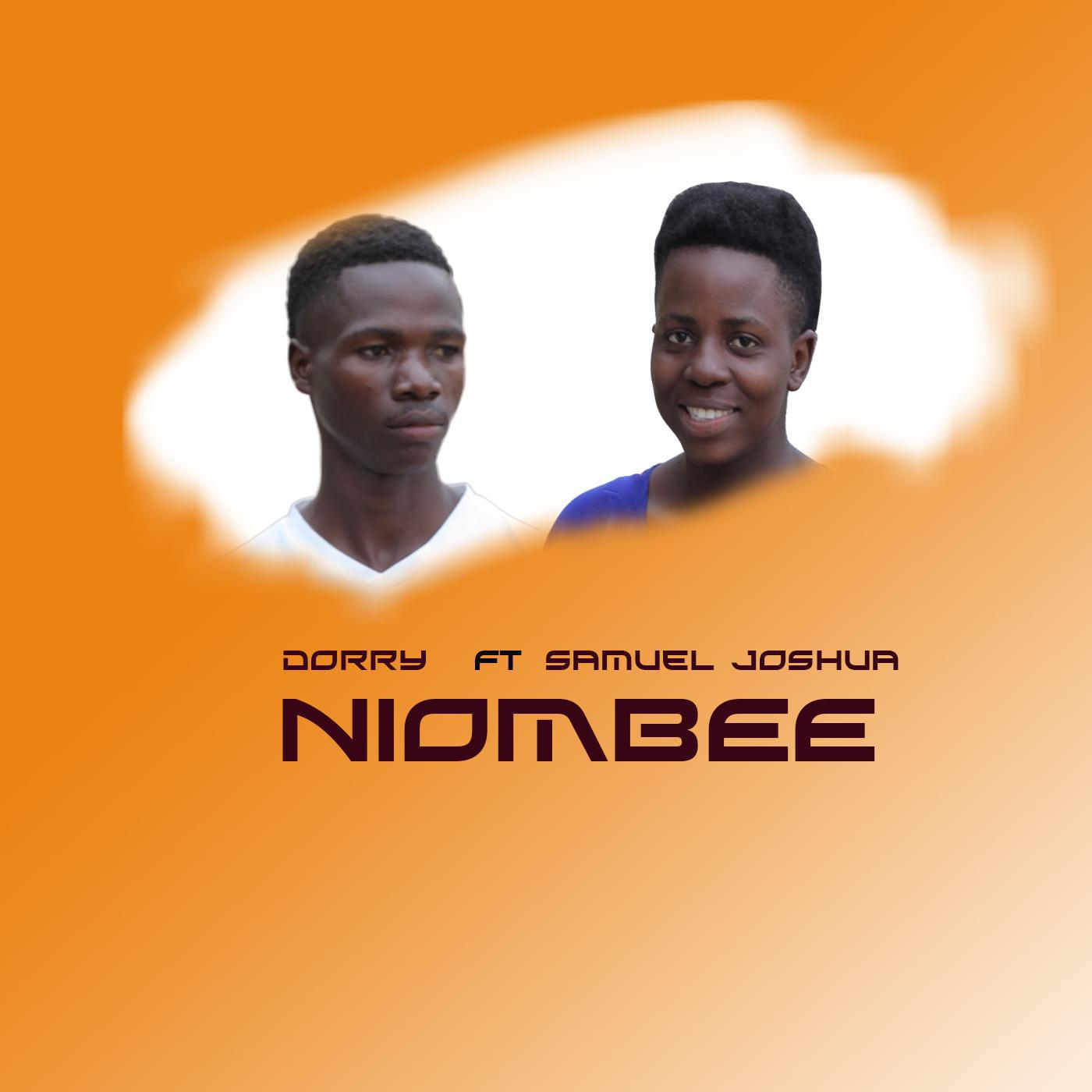 Постер альбома Niombee (feat. Dorry)