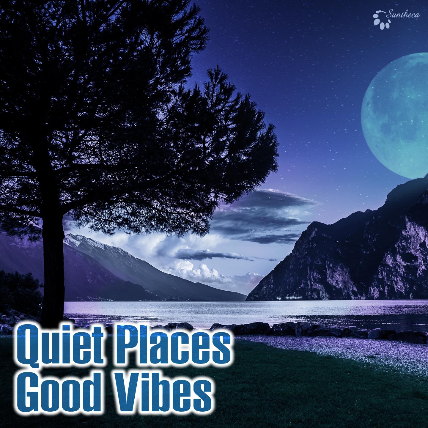 Постер альбома Quiet Places Good Vibes