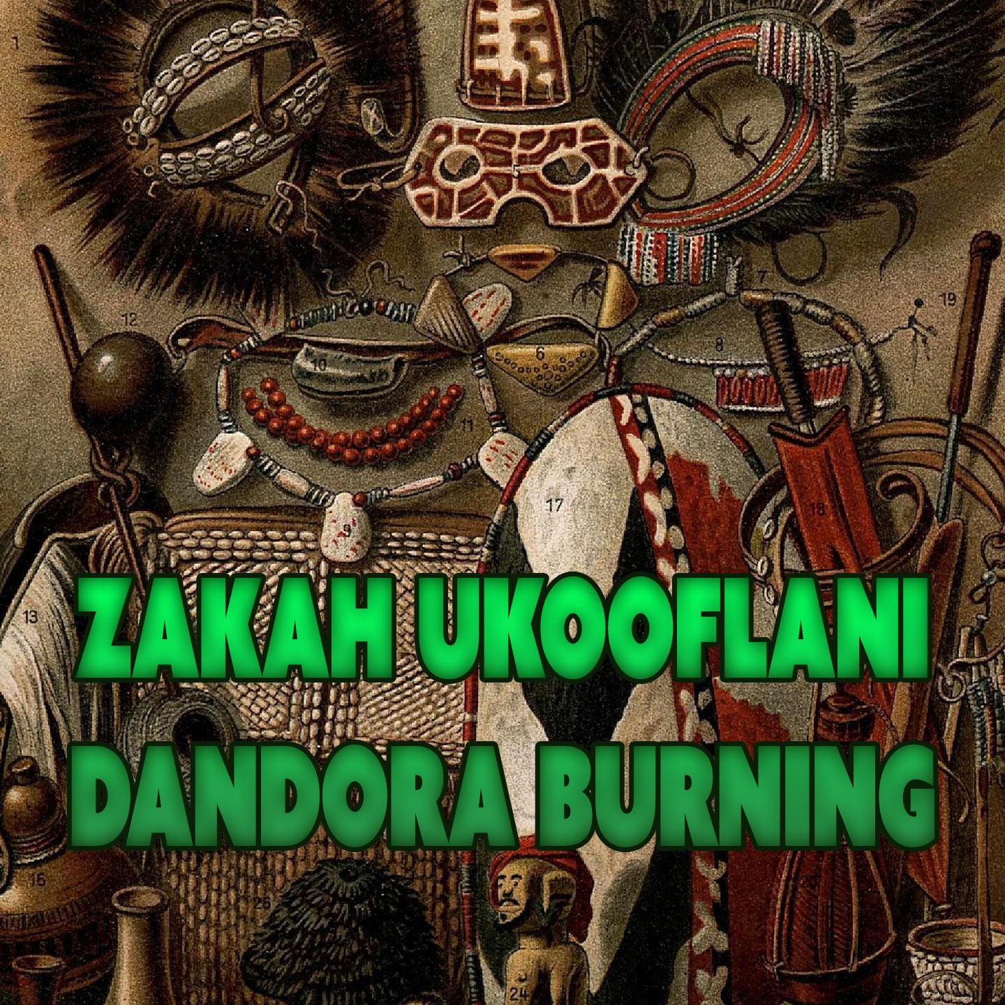 Постер альбома Dandora Burning