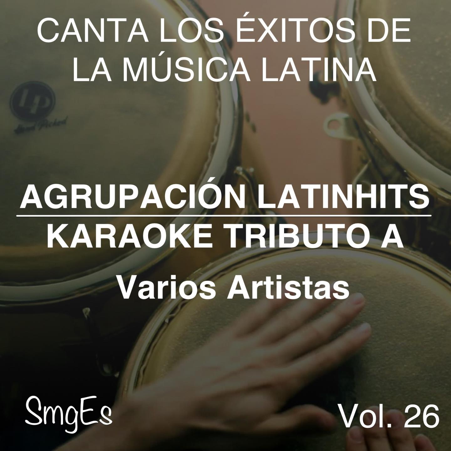 Постер альбома Instrumental Karaoke Series: Varios Artistas, Vol. 26