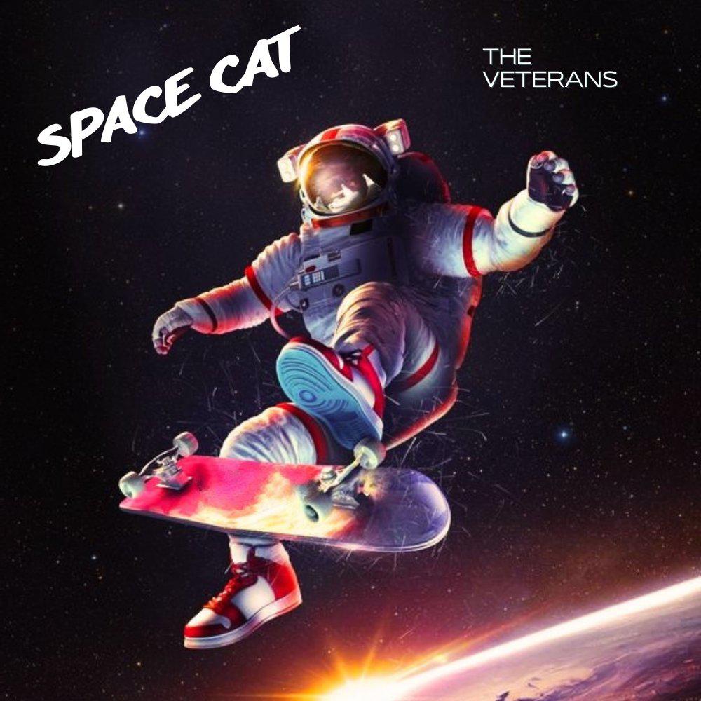 Постер альбома Space Cat