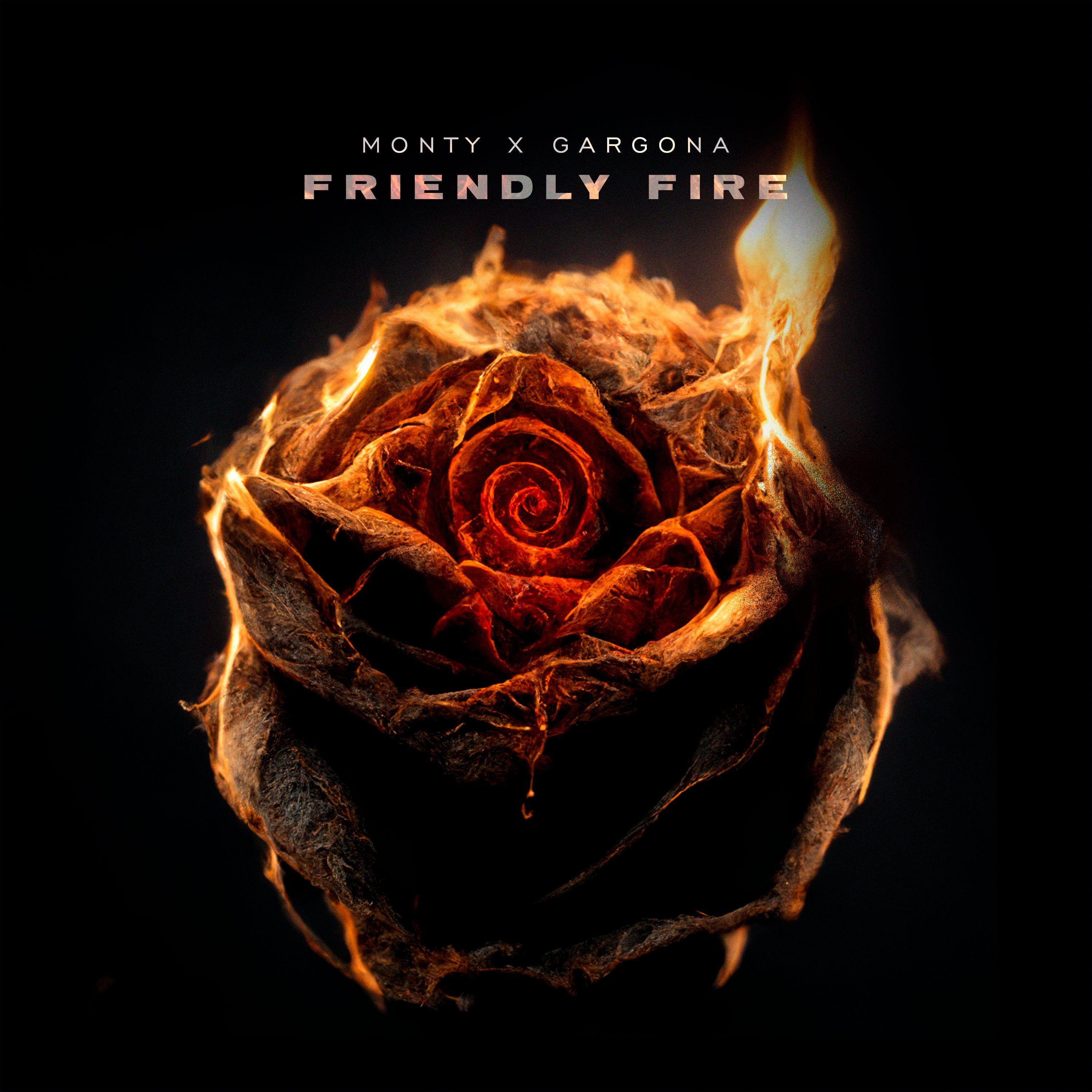 Постер альбома Friendly fire