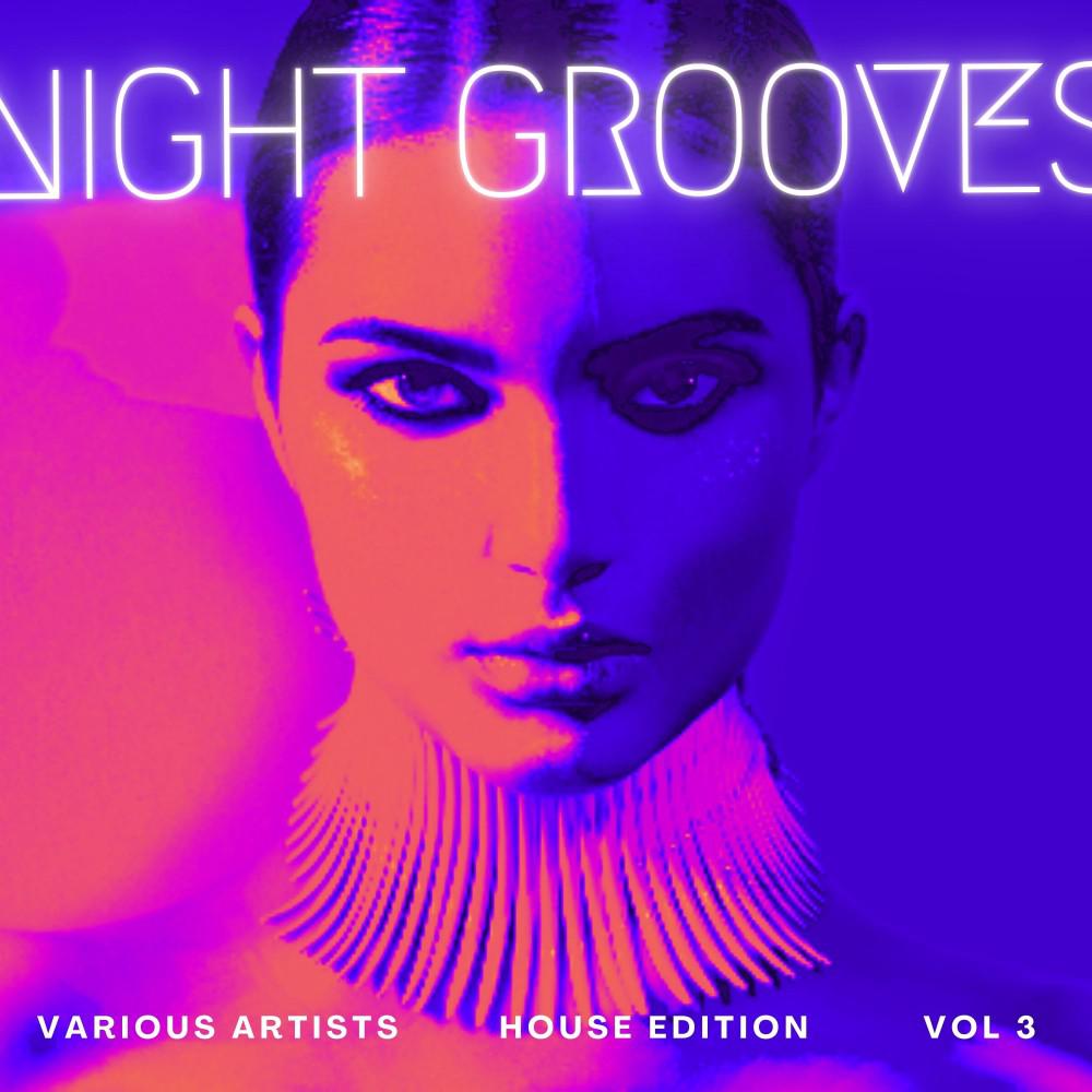 Постер альбома Night Grooves (House Edition), Vol. 3