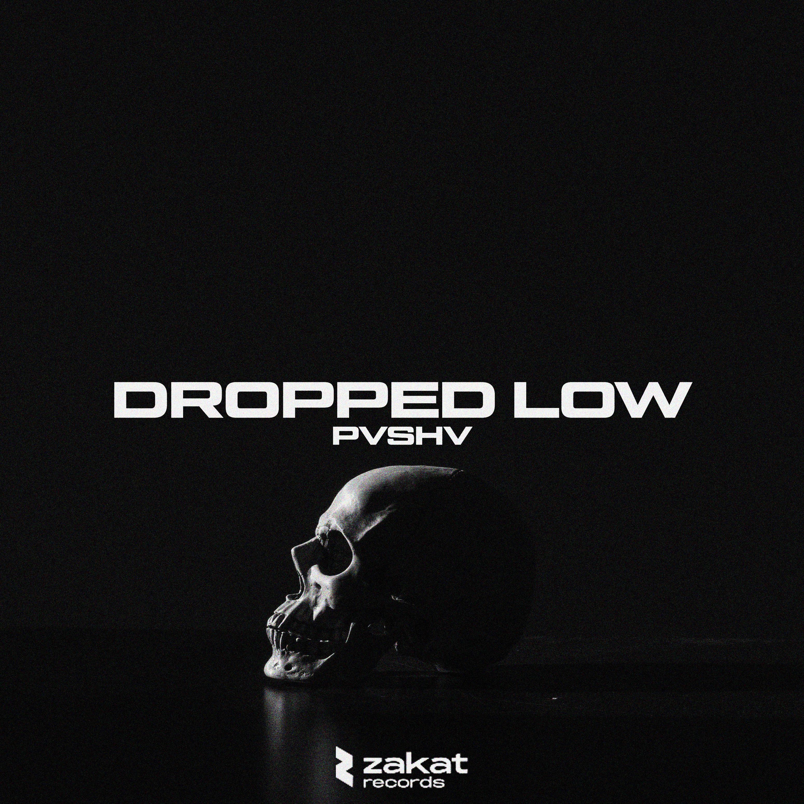 Постер альбома DROPPED LOW